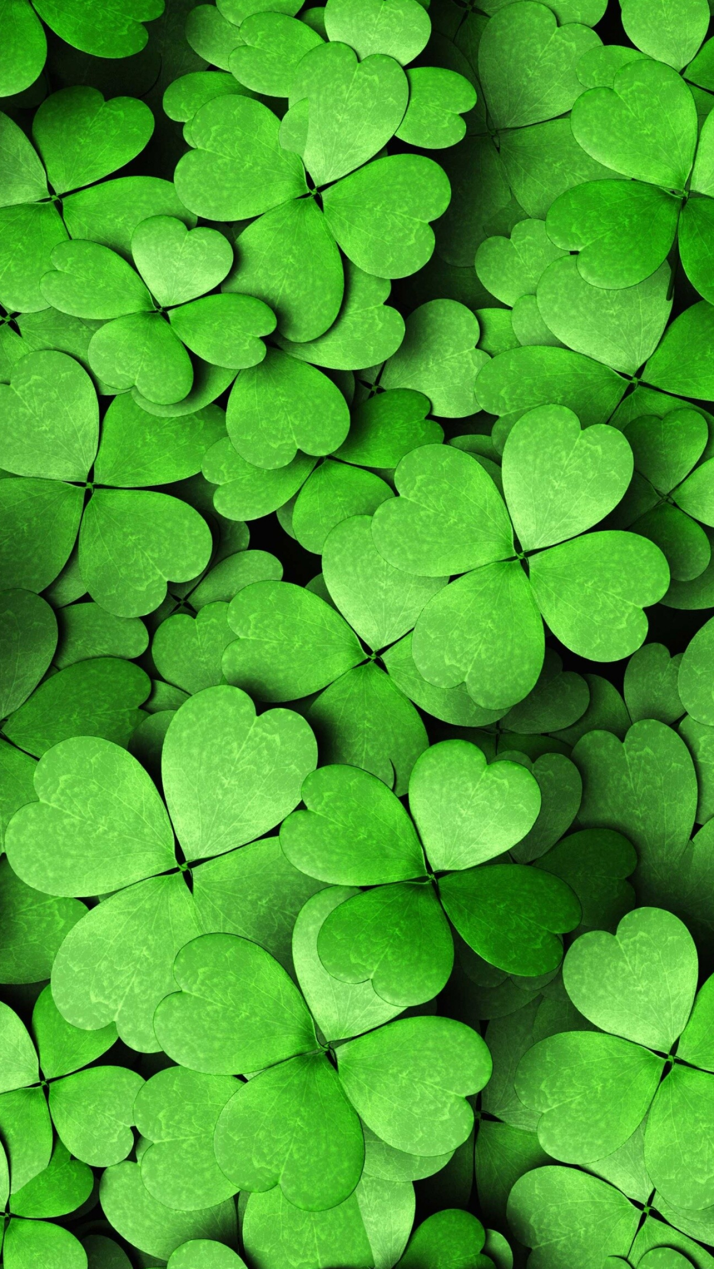 Clover, Leaf Wallpaper, 1440x2560 HD Phone