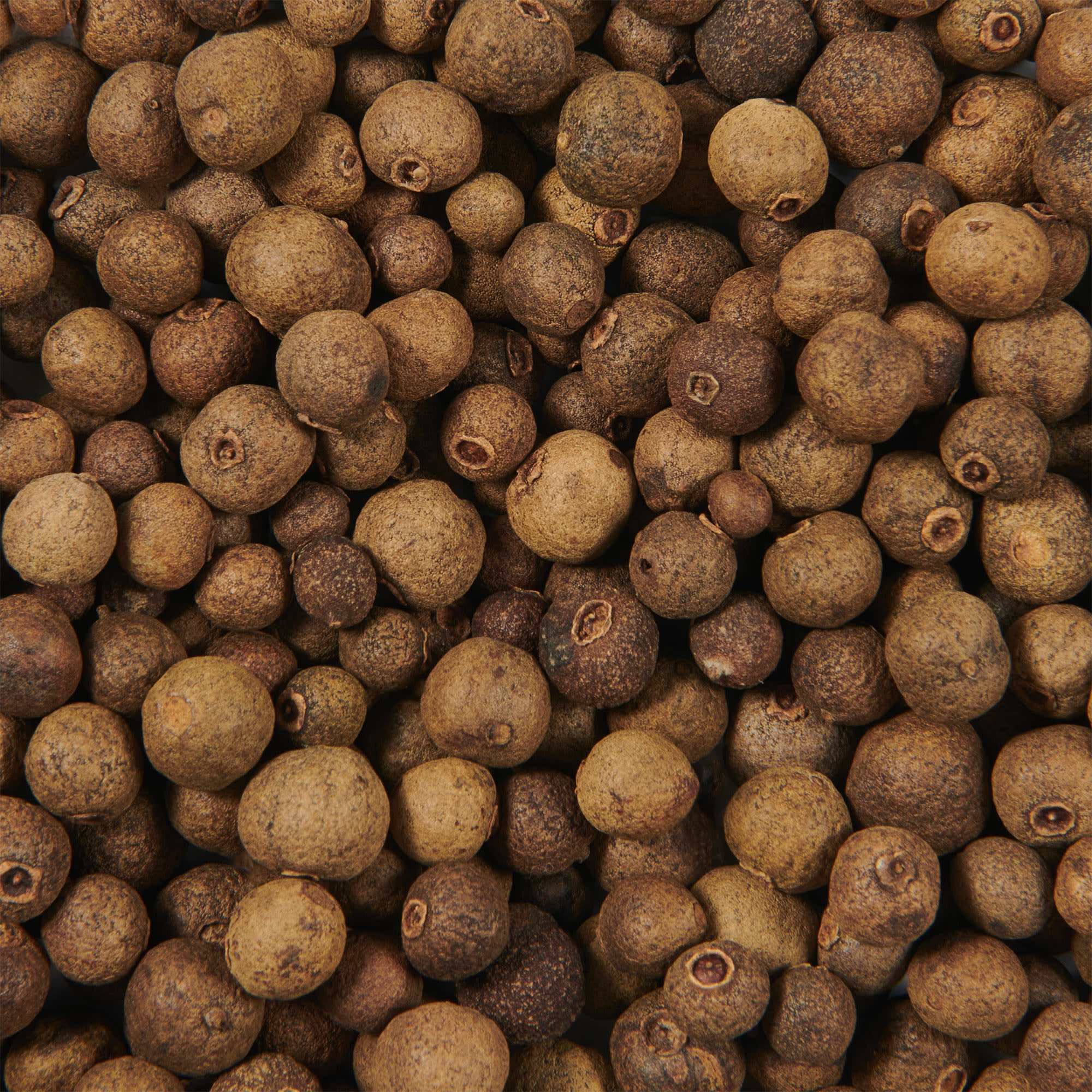 El guapo whole allspice, Pimienta dulce entera, Aromatic spice, Exquisite flavoring, 2000x2000 HD Phone