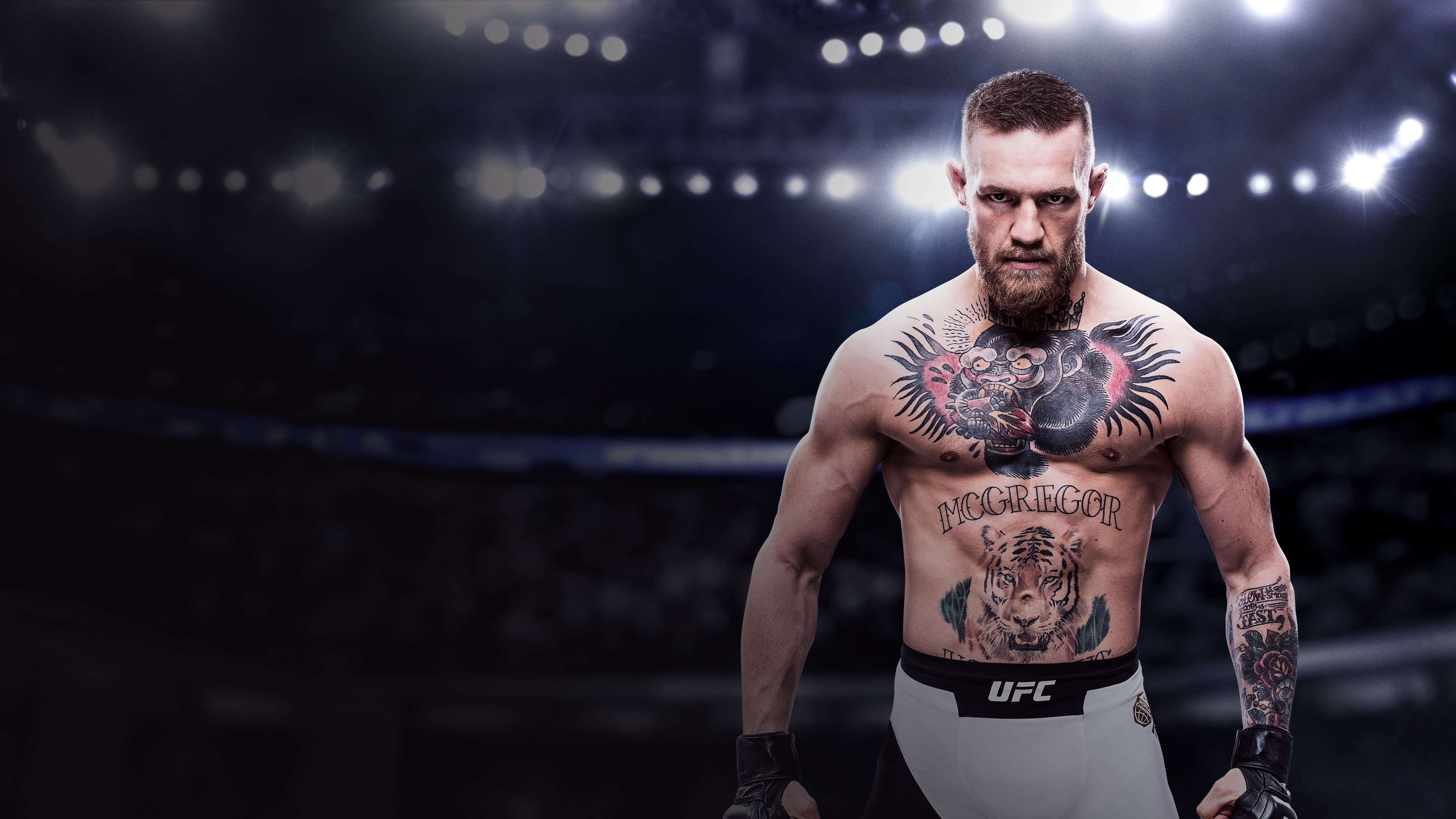 Conor McGregor, Combat Sports Wallpaper, 3840x2160 4K Desktop