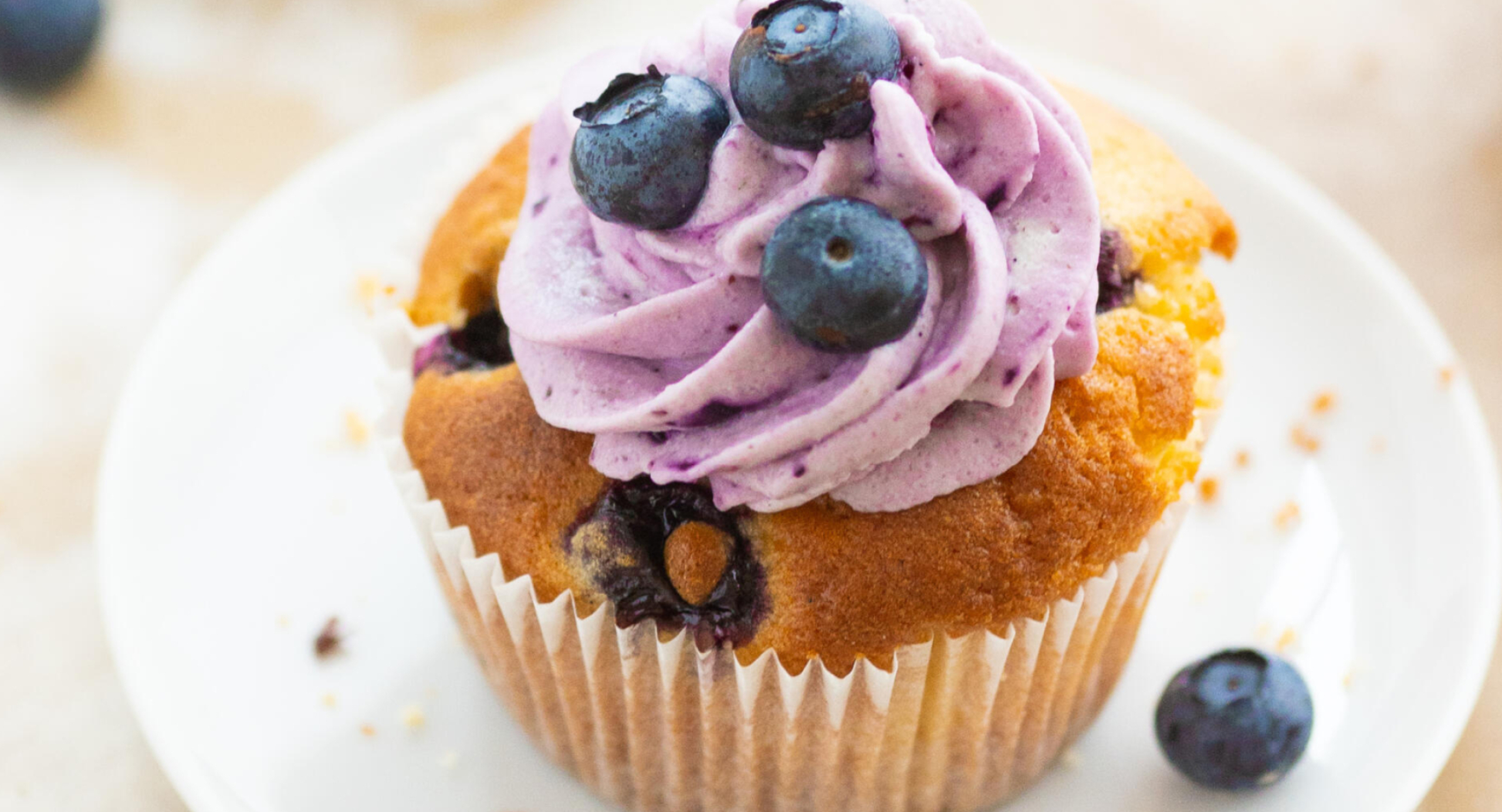 Blueberry, Cupcakes Wallpaper, 2560x1390 HD Desktop