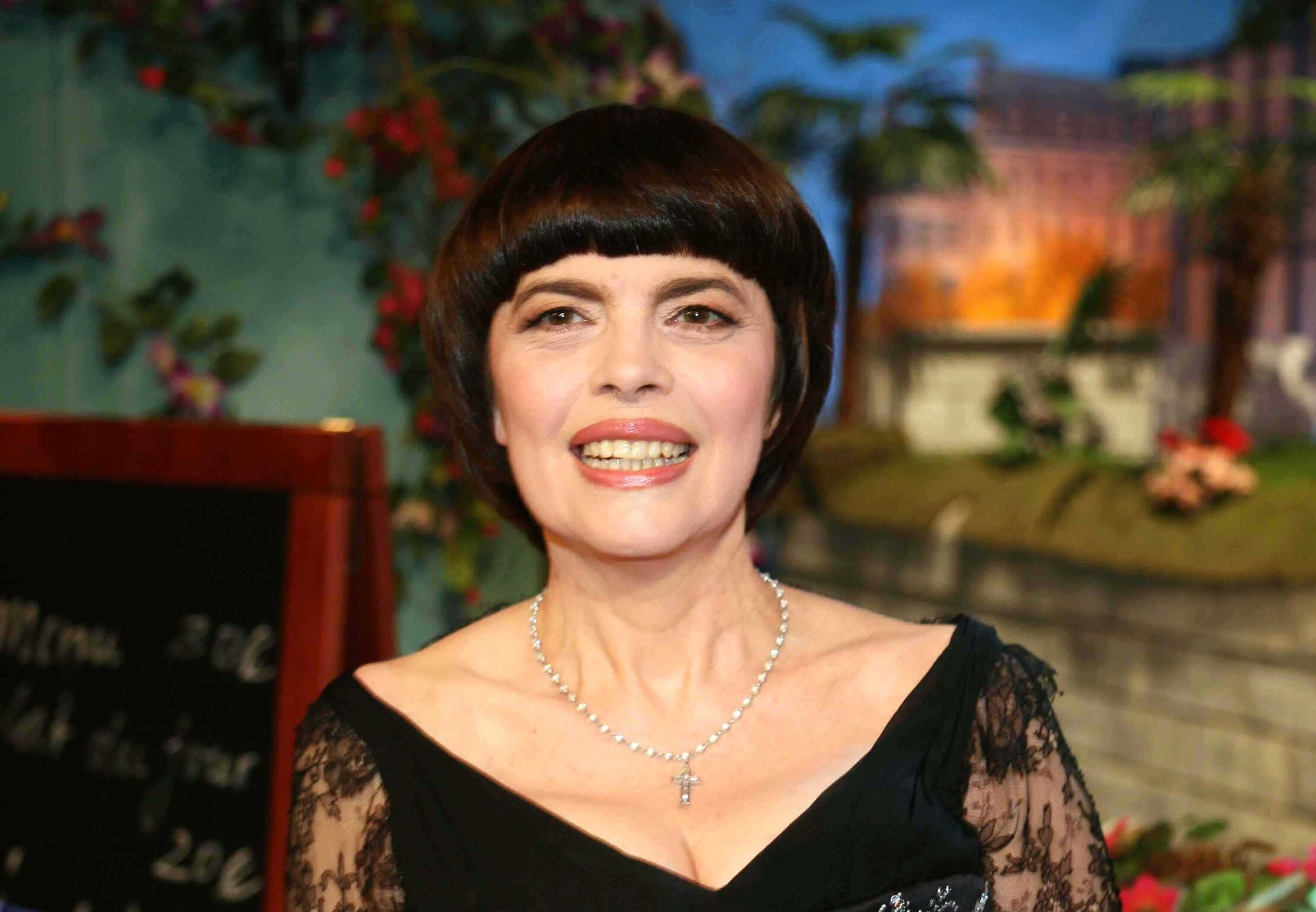 Mireille Mathieu, Higher academic council, Paris, Leadership in music education, 2220x1540 HD Desktop