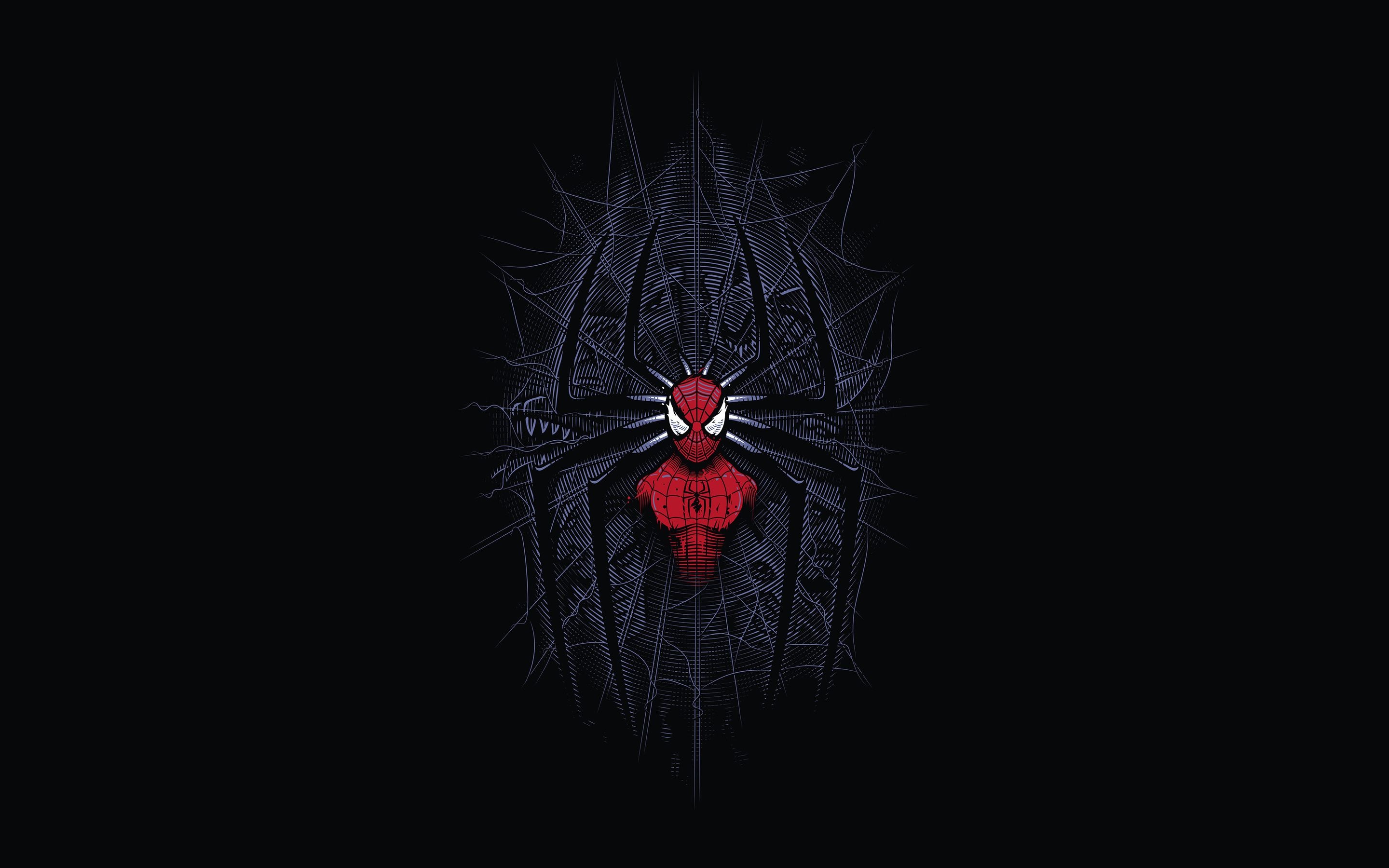 Spider-Man, stylized spider emblem, crosshatched spider web, HD Desktop wallpaper
