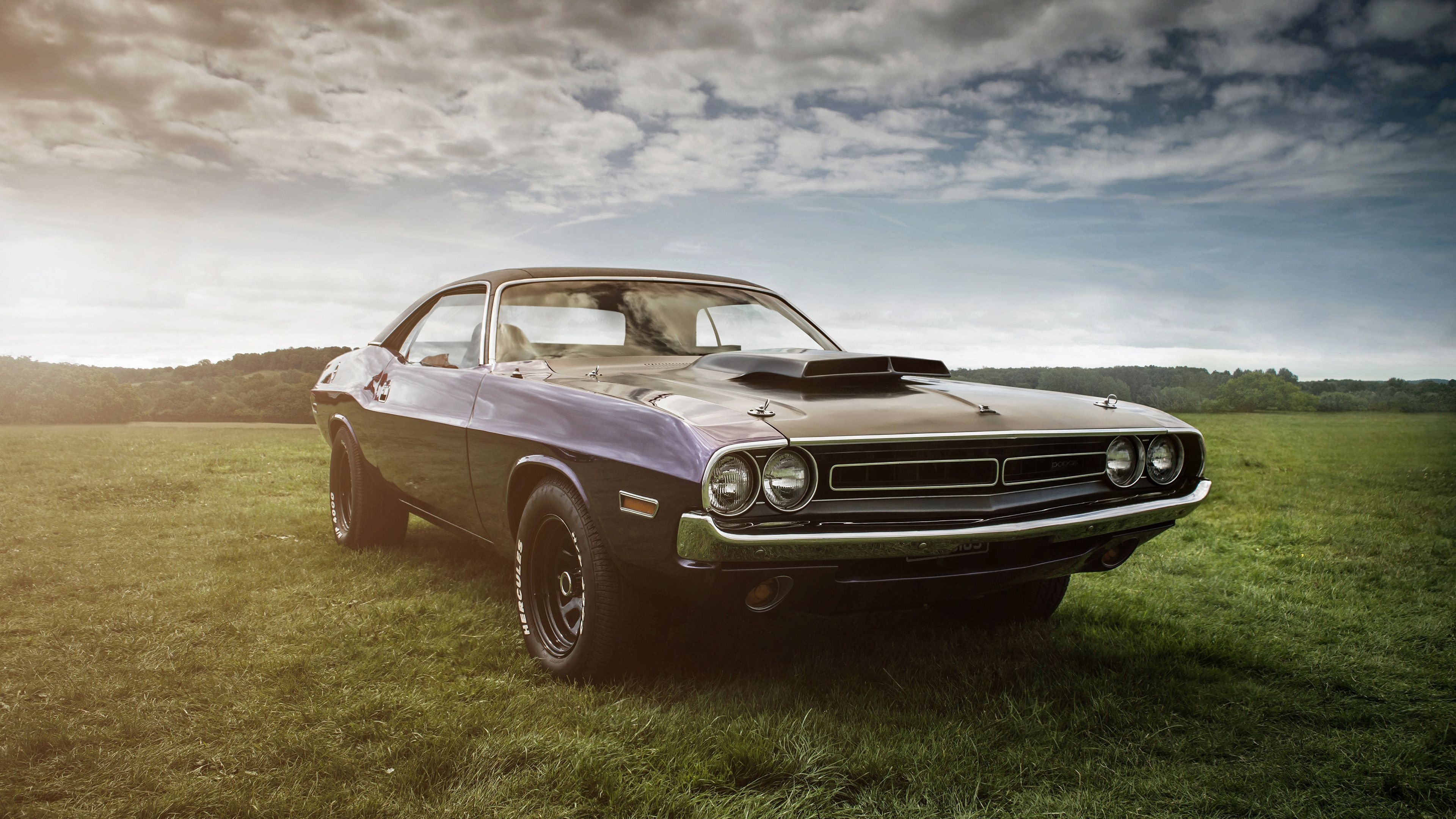 1970 Dodge Challenger, open grassy meadow, sunlit cloudy sky, 4K Desktop wallpaper