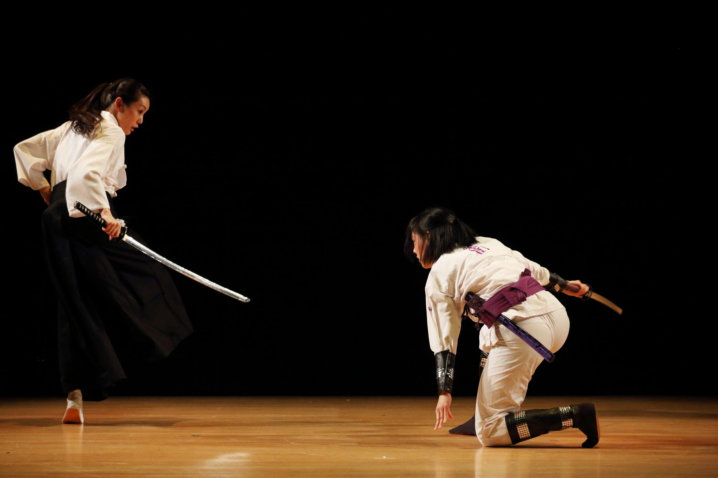 Sword fighting, Martial arts, Fencing poses, Action shots, 2500x1670 HD Desktop