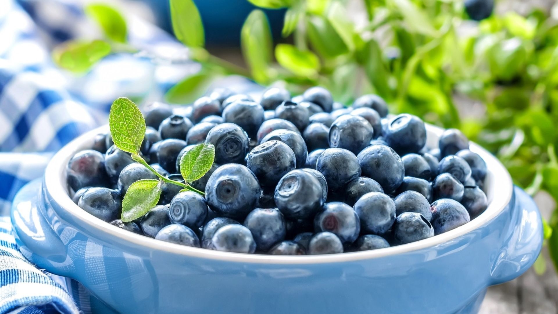 Food, Blueberry backgrounds, High resolution, 1920x1080 Full HD Desktop