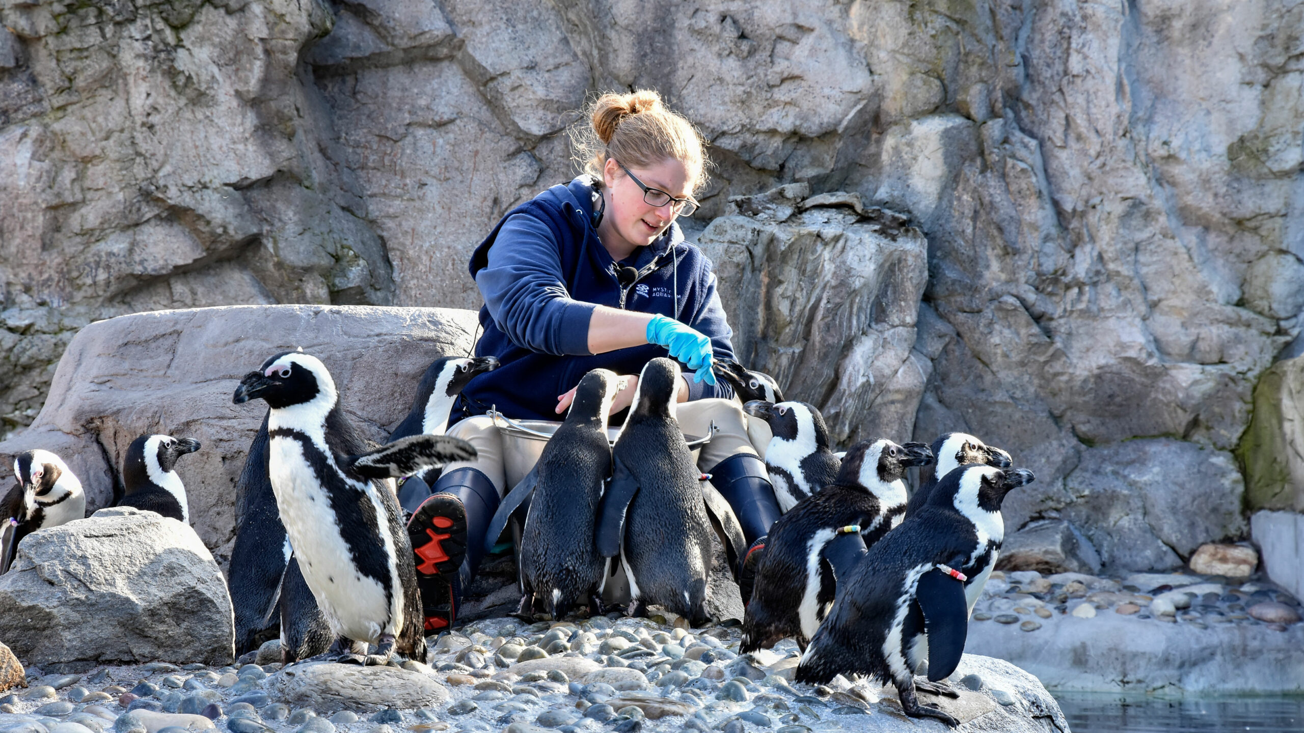 Mystic Aquarium, Women in science, Celebrating success, 2560x1440 HD Desktop