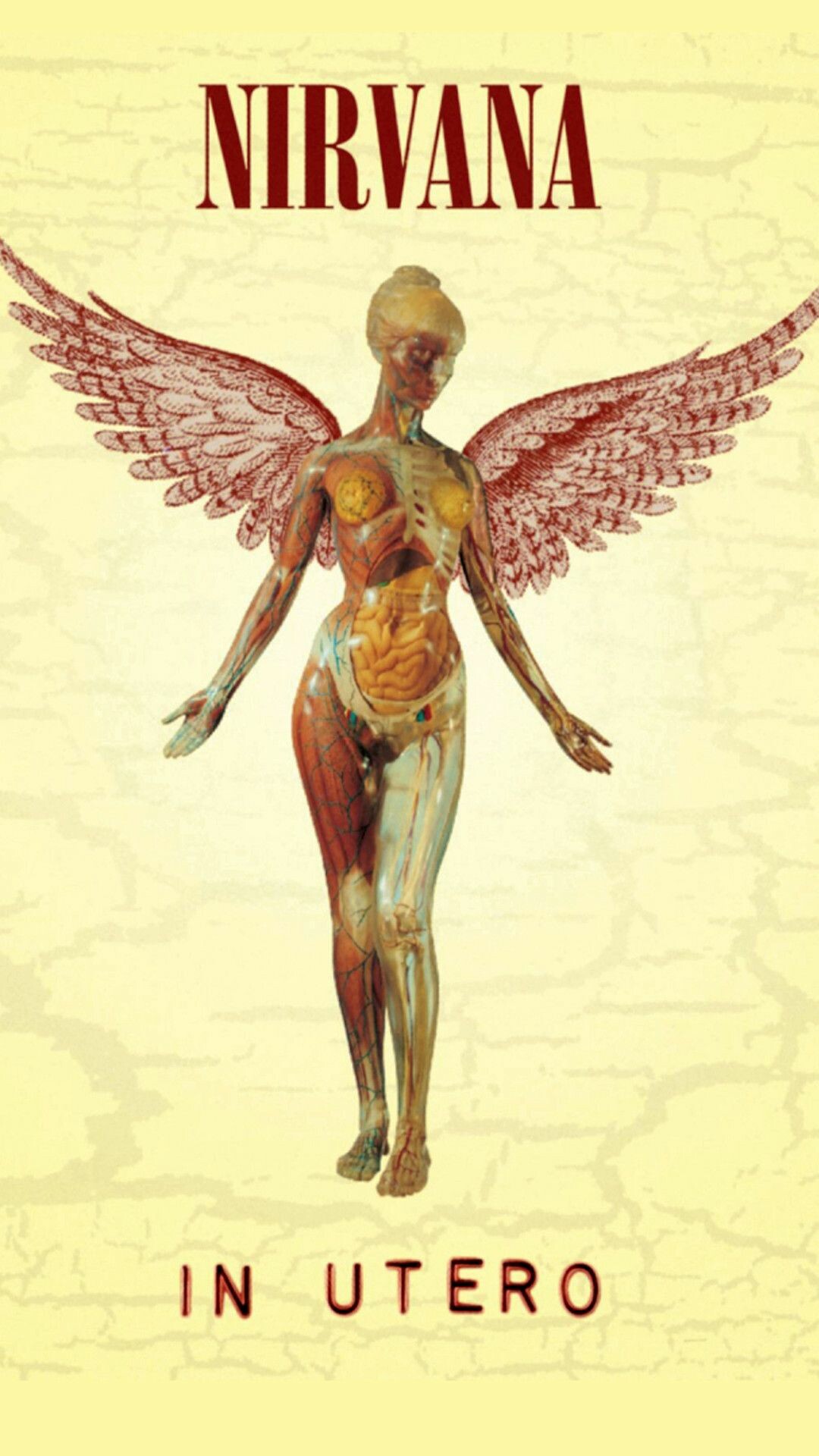 In Utero Album, Nirvana Wallpaper, 1080x1920 Full HD Phone