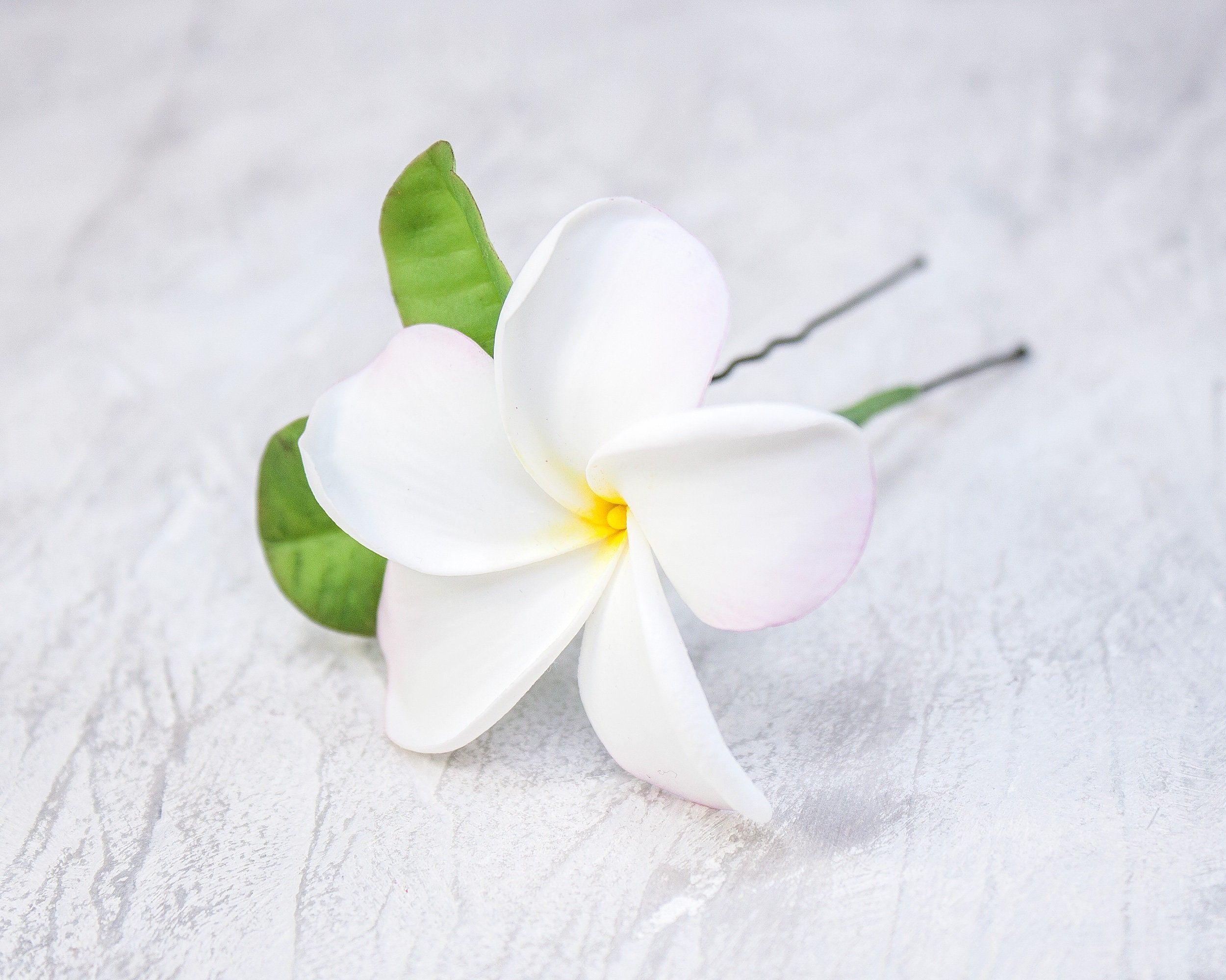 Plumeria hairpin, Hawaiian Flower Wallpaper, 2500x2000 HD Desktop