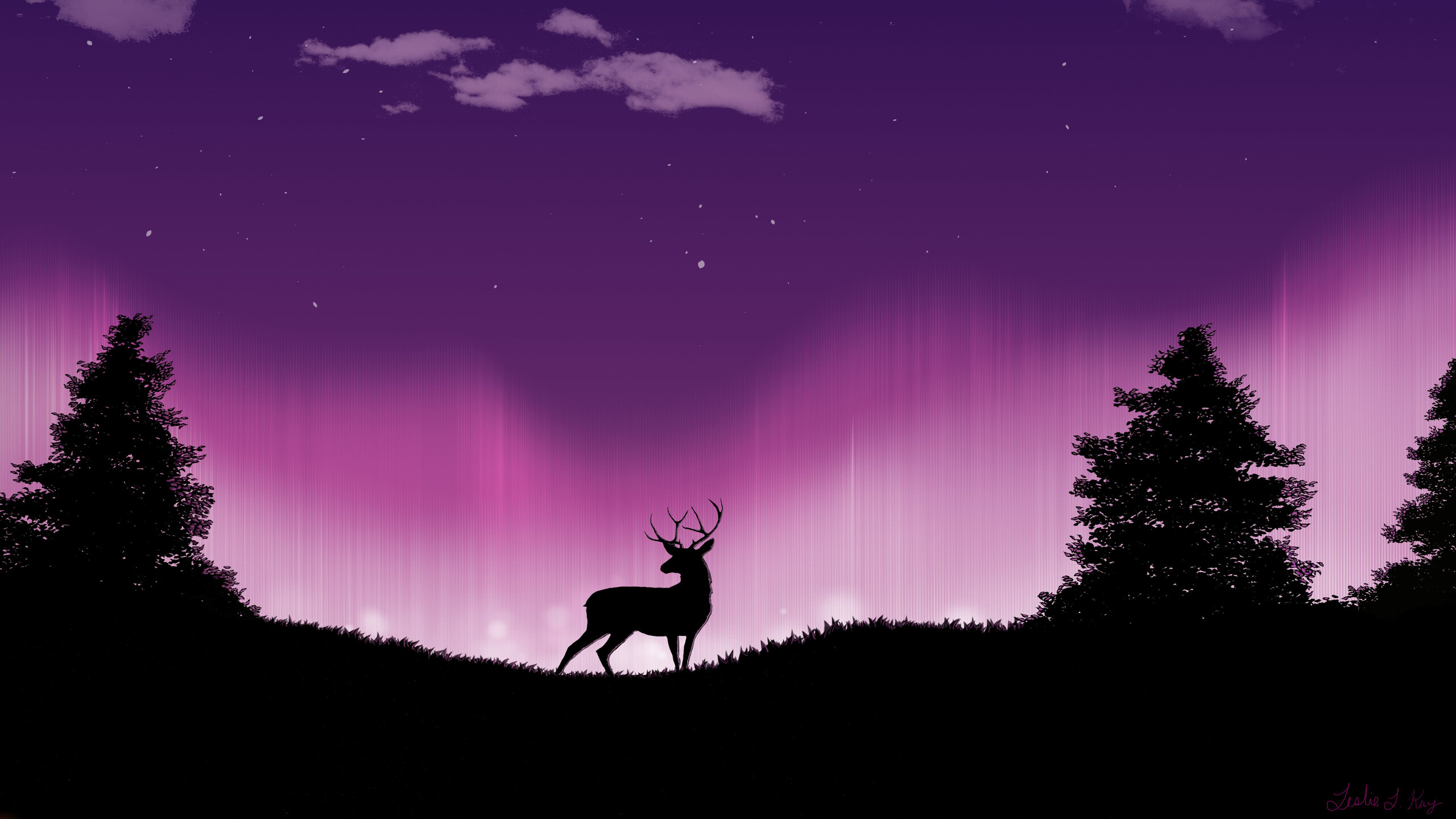 Reindeer in the forest, Peaceful solitude, Nature's harmony, Enchanting realm, 2560x1440 HD Desktop