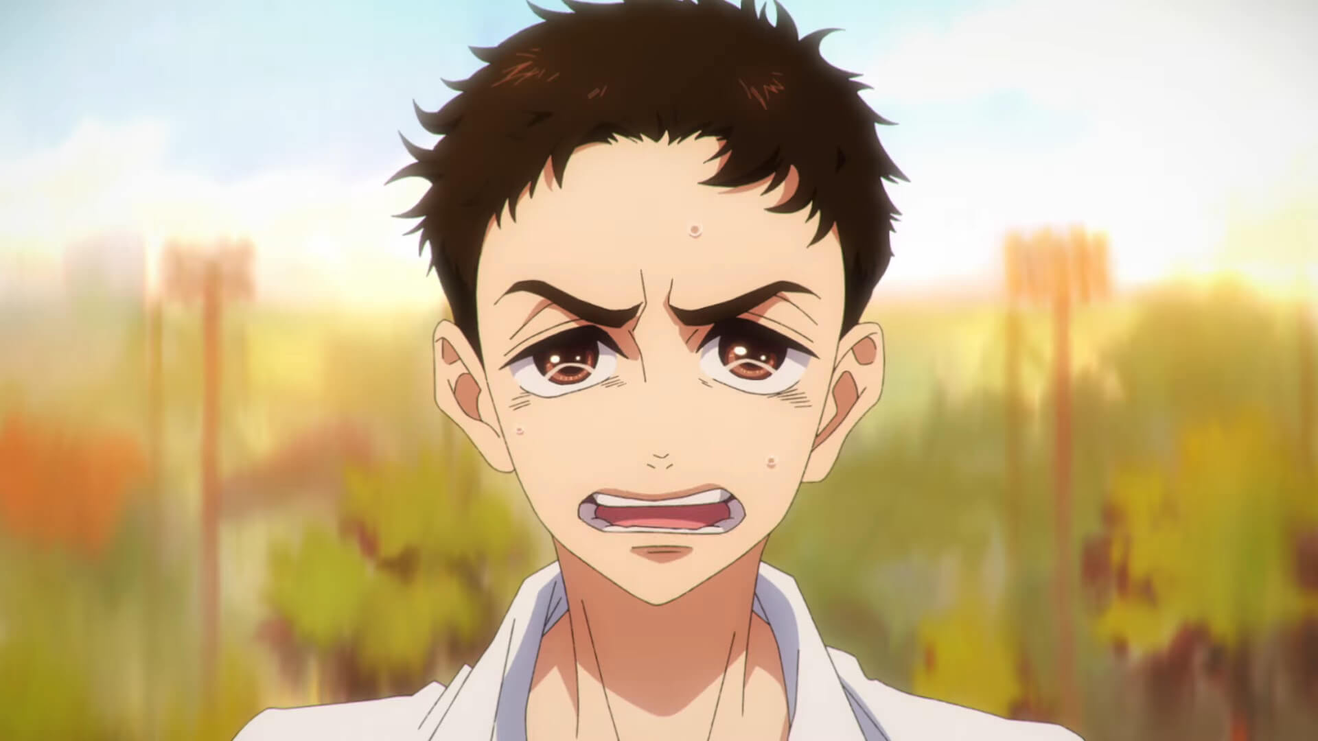 Dance Dance Danseur, The anime, Online streaming, Animated series, 1920x1080 Full HD Desktop