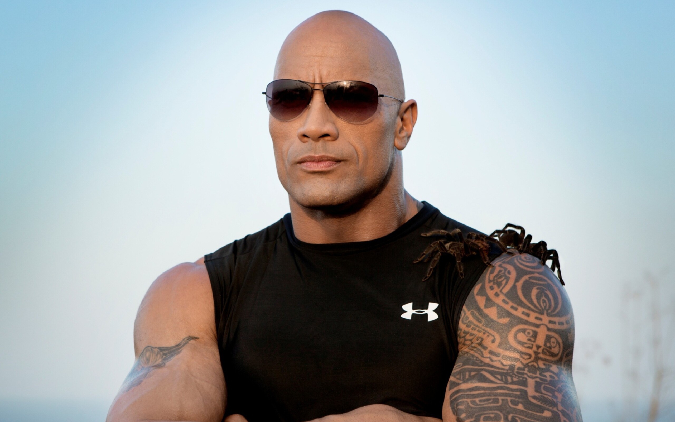 Dwayne Johnson wallpaper, Stylish background, Masculine image, Strong and powerful, 2560x1600 HD Desktop