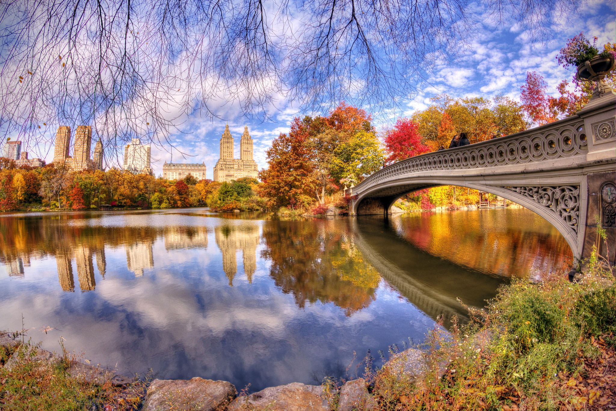 Central Park, Autumn, Daniel Portalatin, Background image, 2050x1370 HD Desktop