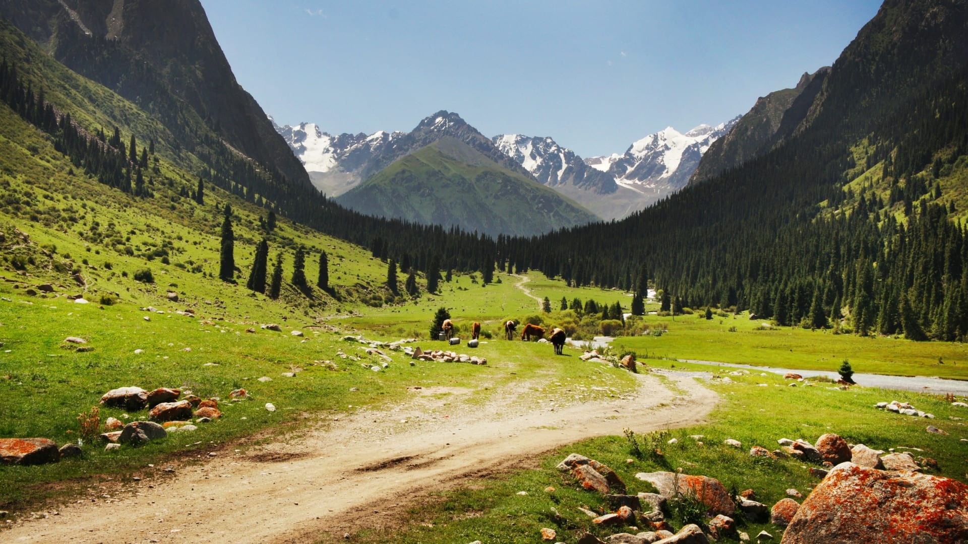 Pure nature, Kyrgyzstan, Travel in July, Joinmytrip, 1920x1080 Full HD Desktop