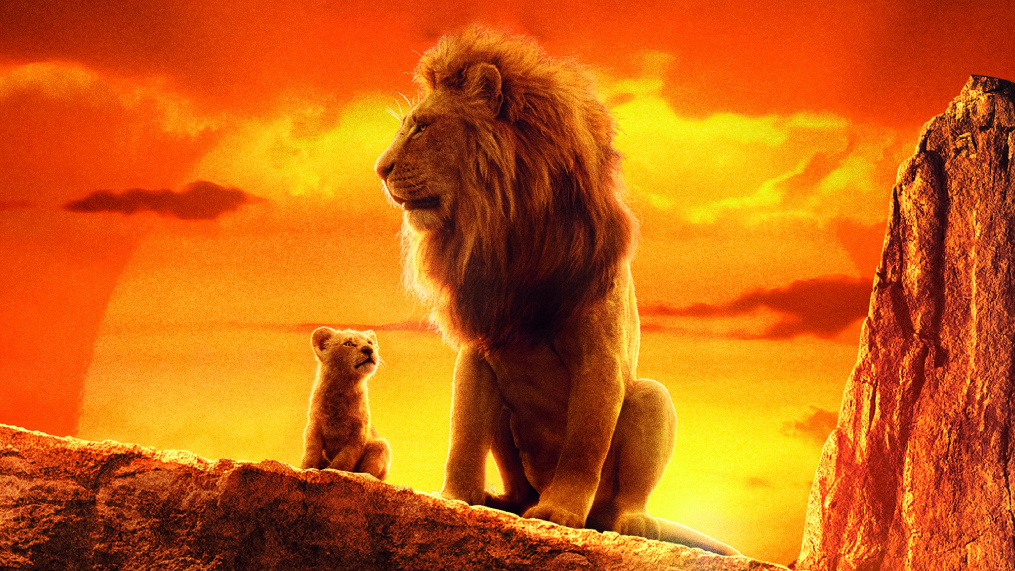 The Lion King, Ultra HD, Wallpapers, 3840x2160 4K Desktop