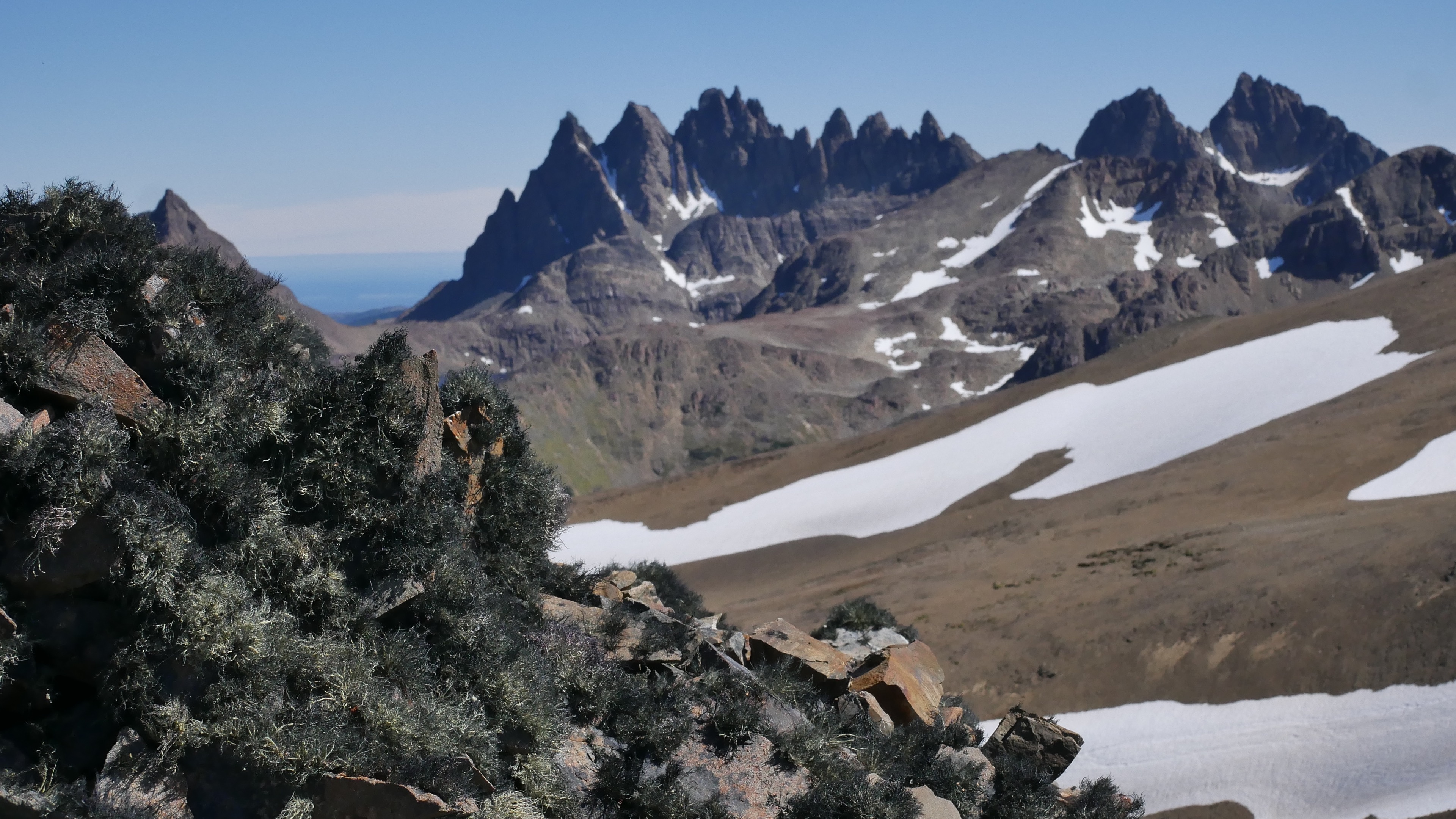 Isla Navarino, Southern forests, Senckenberg society, Nature research, 3840x2160 4K Desktop