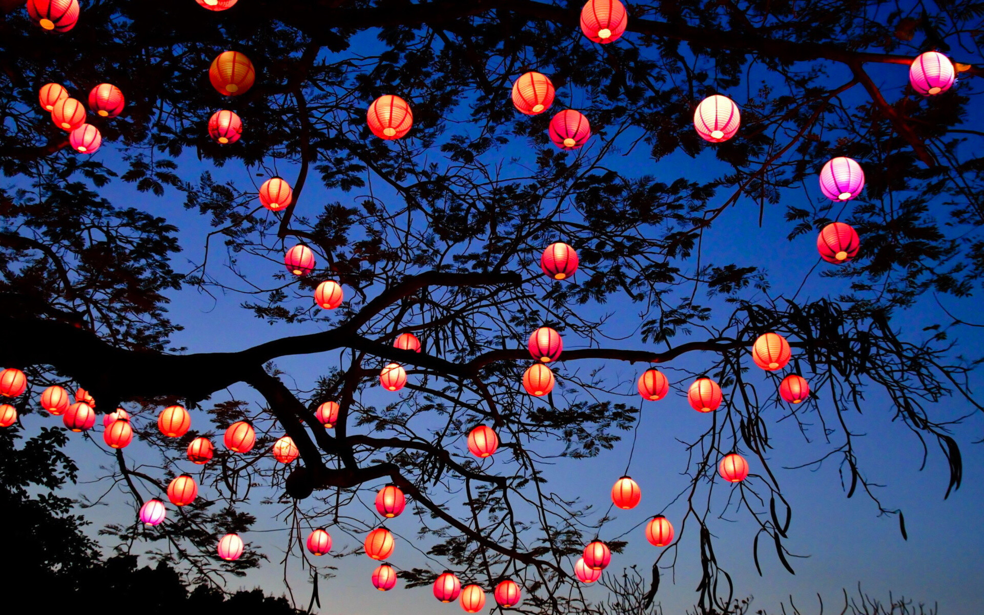 Chinese New Year lanterns, Festive red, Wishes for luck, Traditional celebration, 1920x1200 HD Desktop