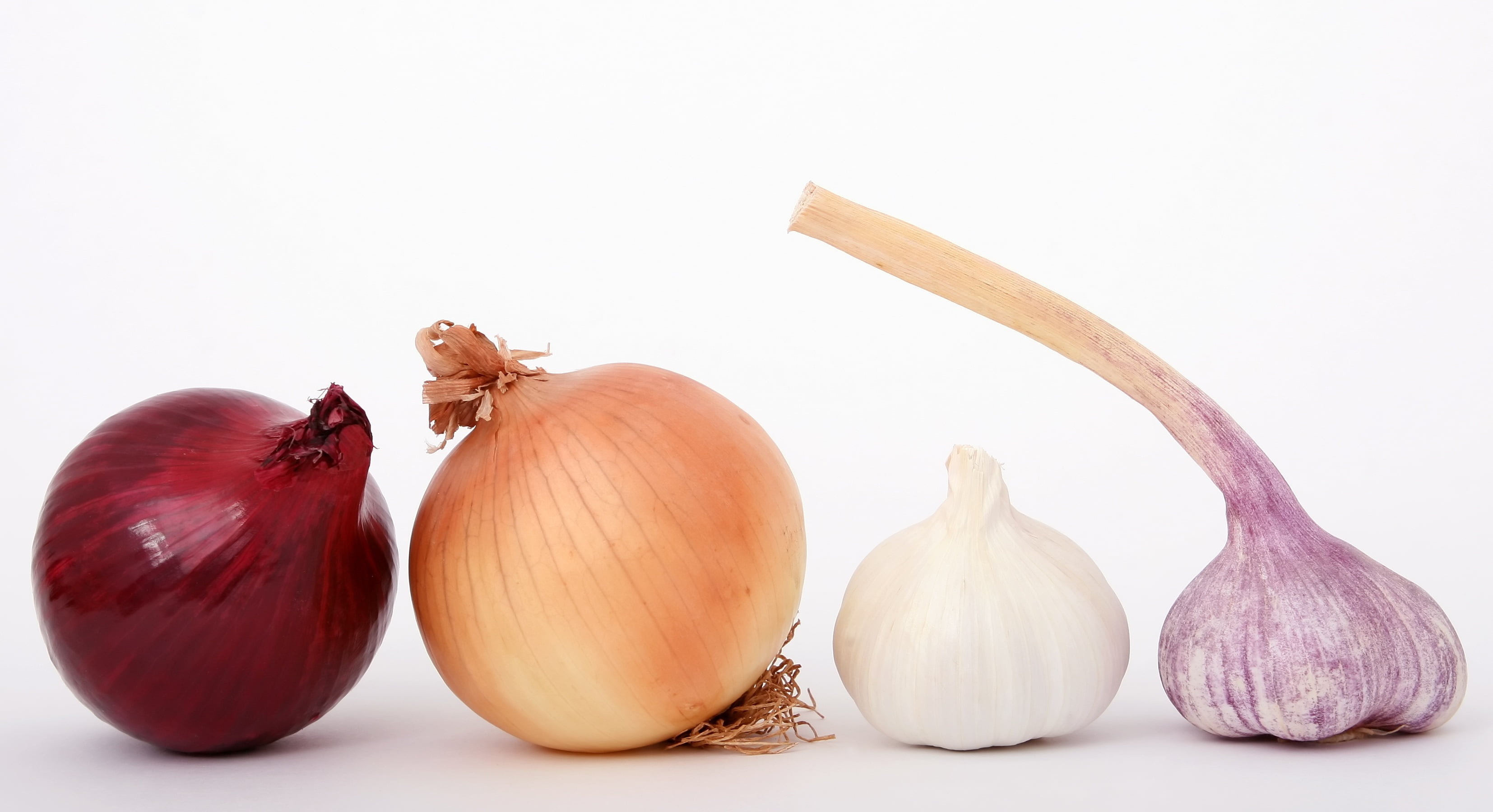 Onion, Garlic Wallpaper, 3310x1800 HD Desktop