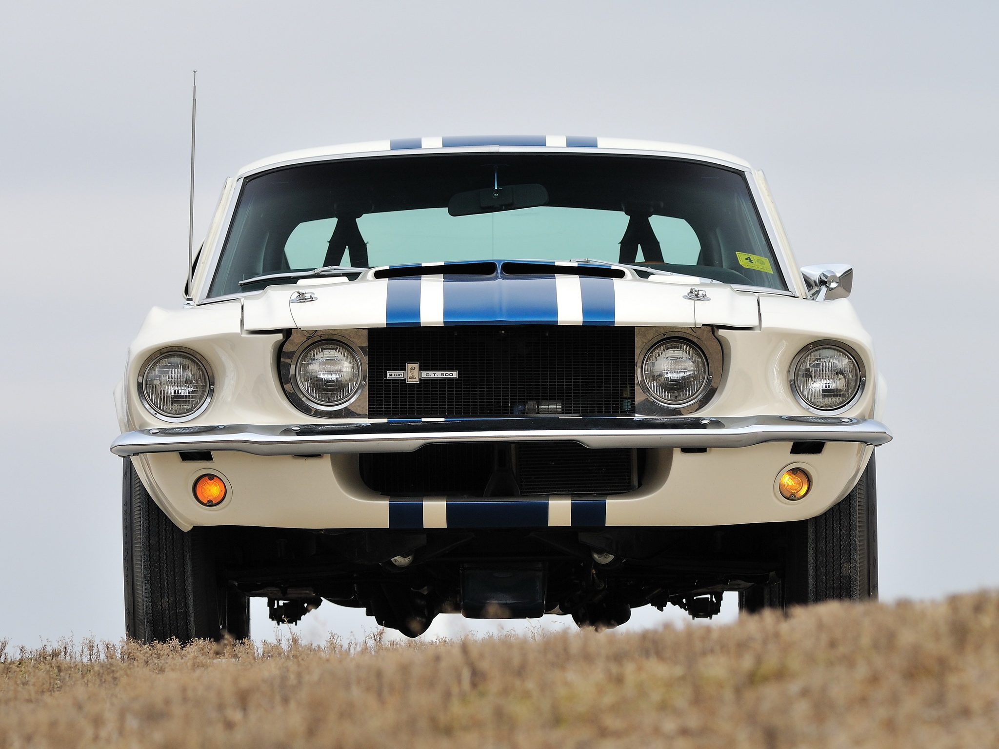 1967 Shelby GT500, Blue racing stripes, Grassy hill horizon, HD Desktop wallpaper