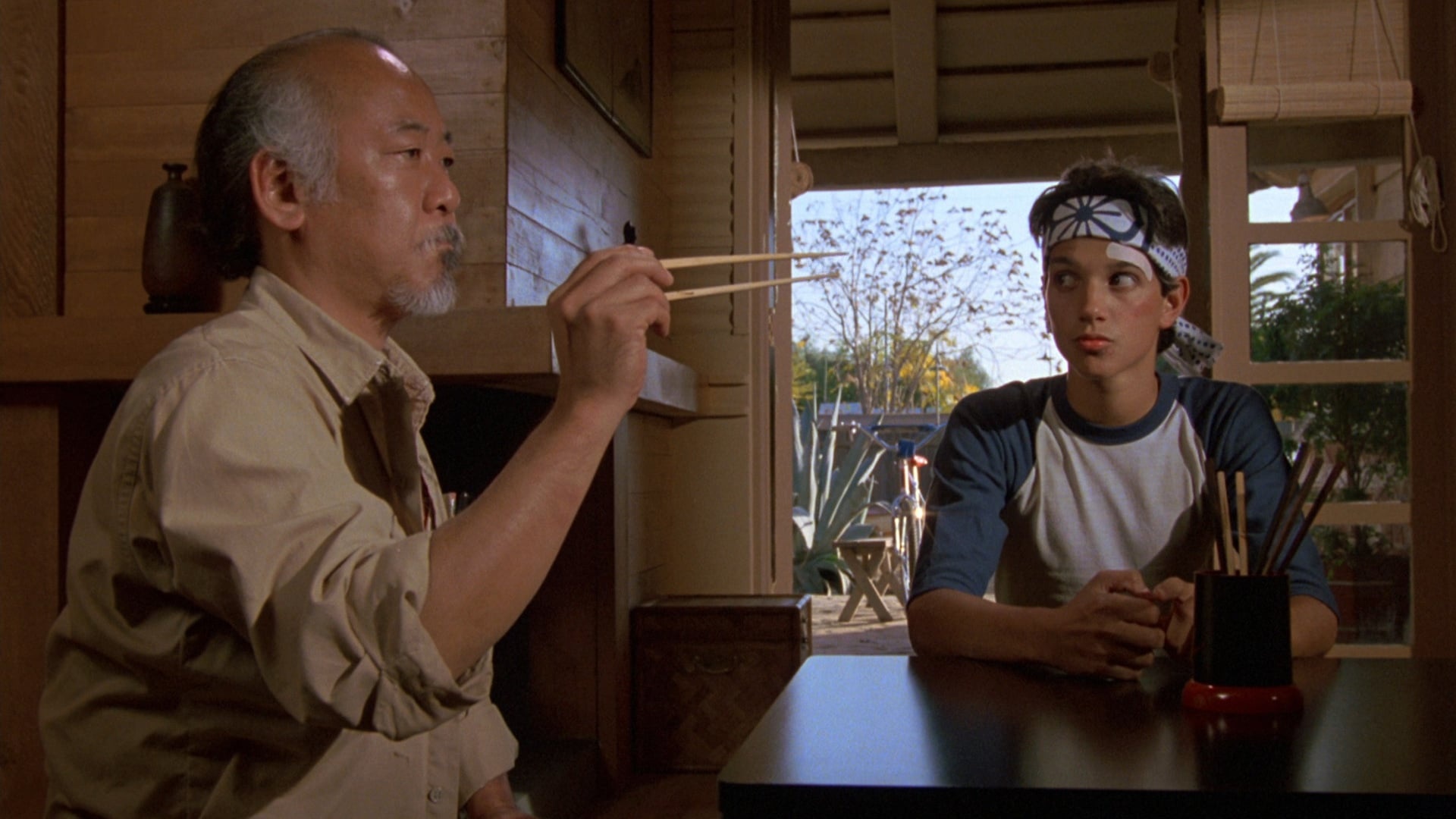 Karate Kid 1984, Retro film critique, Avildsen's timeless gem, Nostalgic masterpiece, 1920x1080 Full HD Desktop