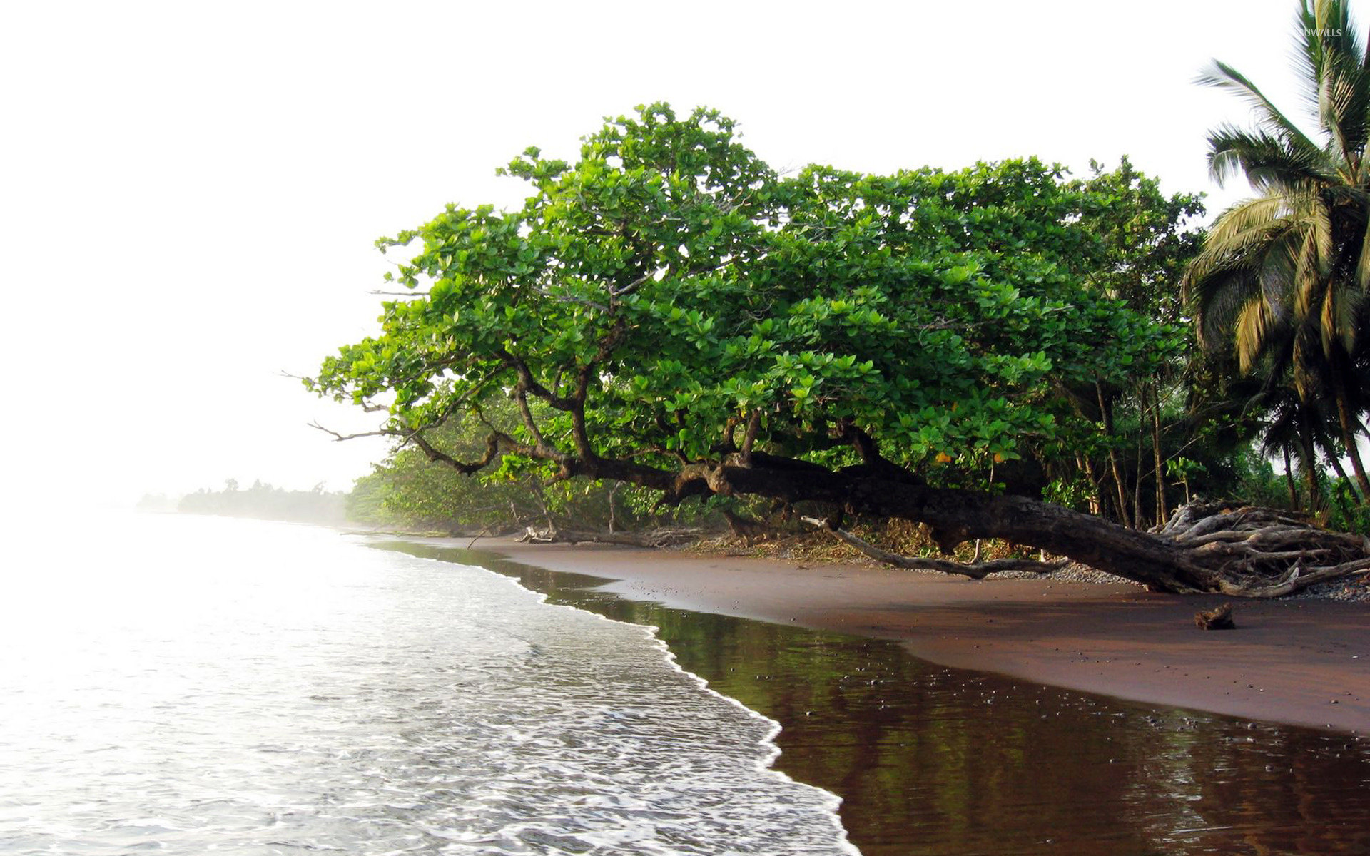 Equatorial Guinea, Limbe, Beach wallpapers, Travels, 1920x1200 HD Desktop