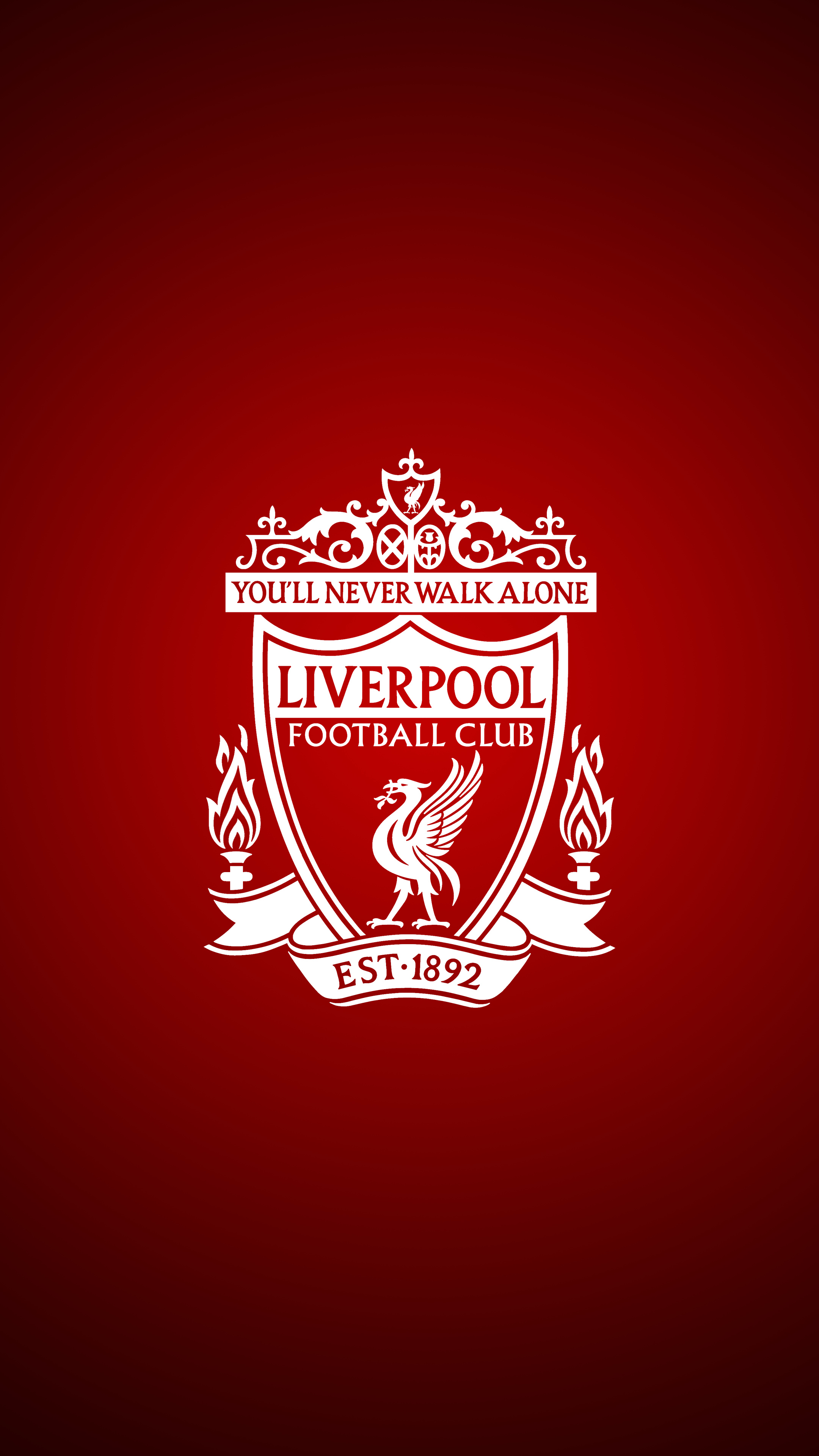 Liverpool Football Club, Artistic expression, Captivating designs, Memorable artwork, 2160x3840 4K Phone