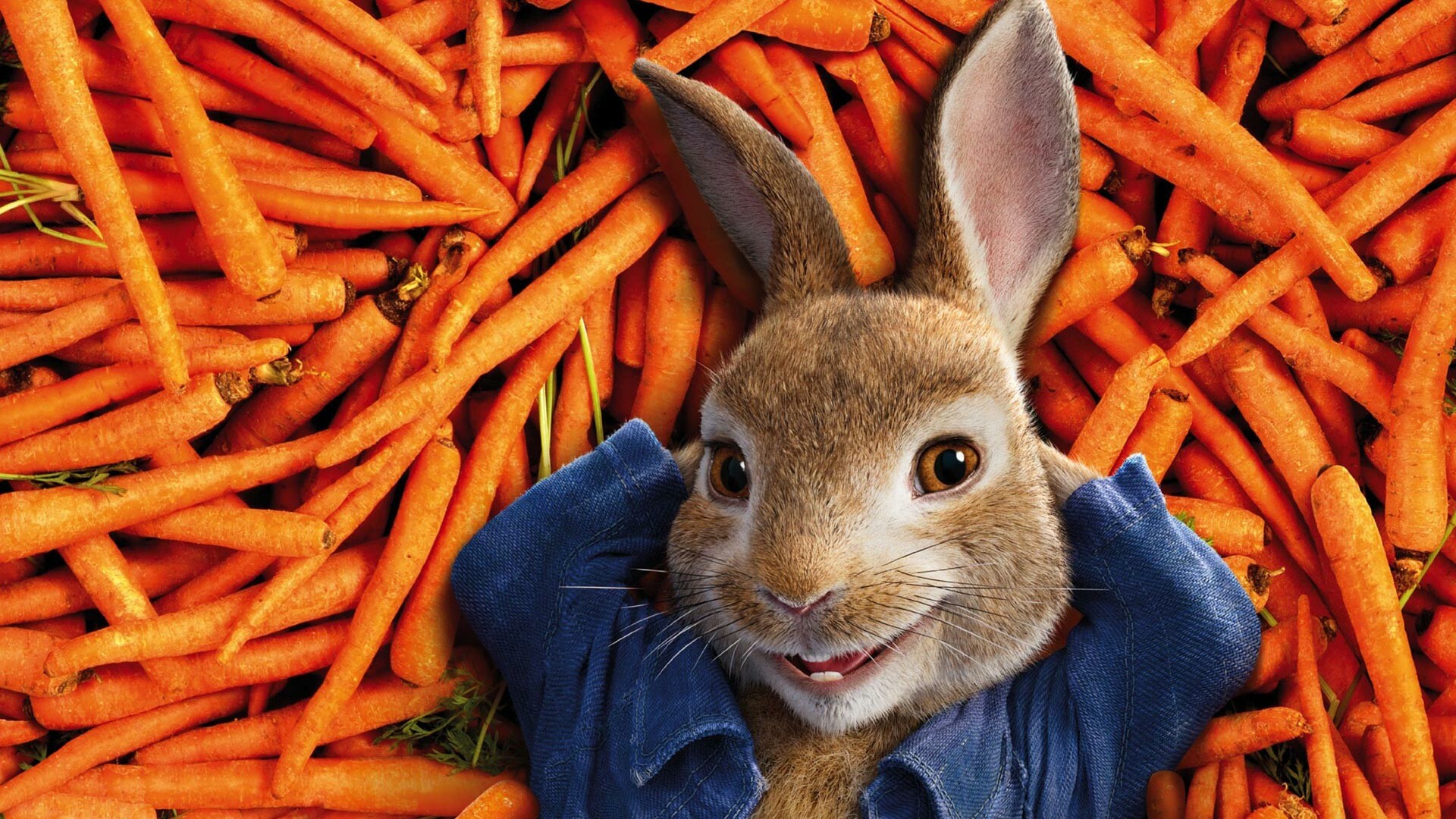 Peter Rabbit tales, Whimsical adventures, Mischievous mischief, Garden wonders, 1920x1080 Full HD Desktop