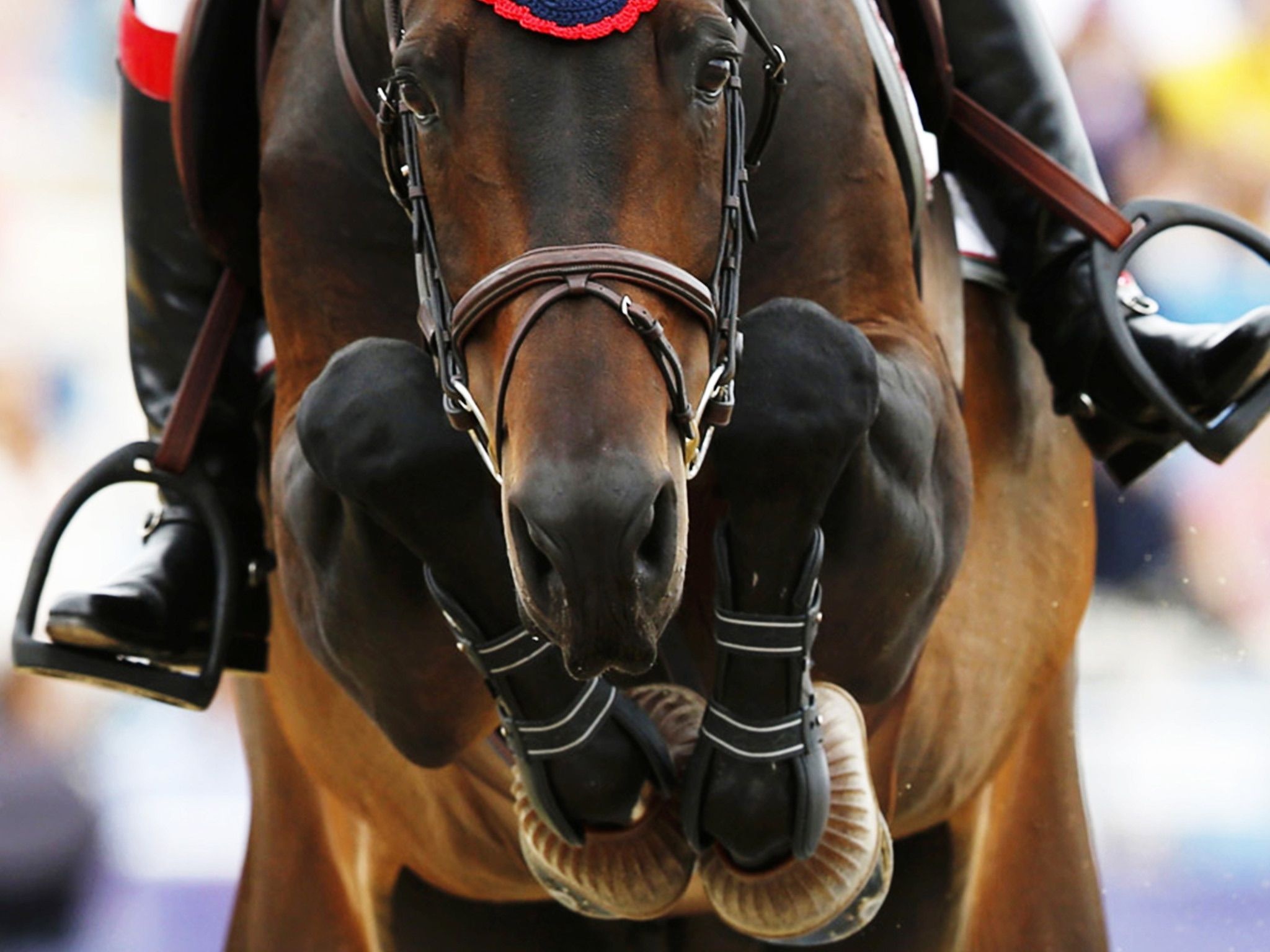 Equestrian sport wallpaper, Eventing horses, Equestrian outfits, Horse wallpaper, 2050x1540 HD Desktop