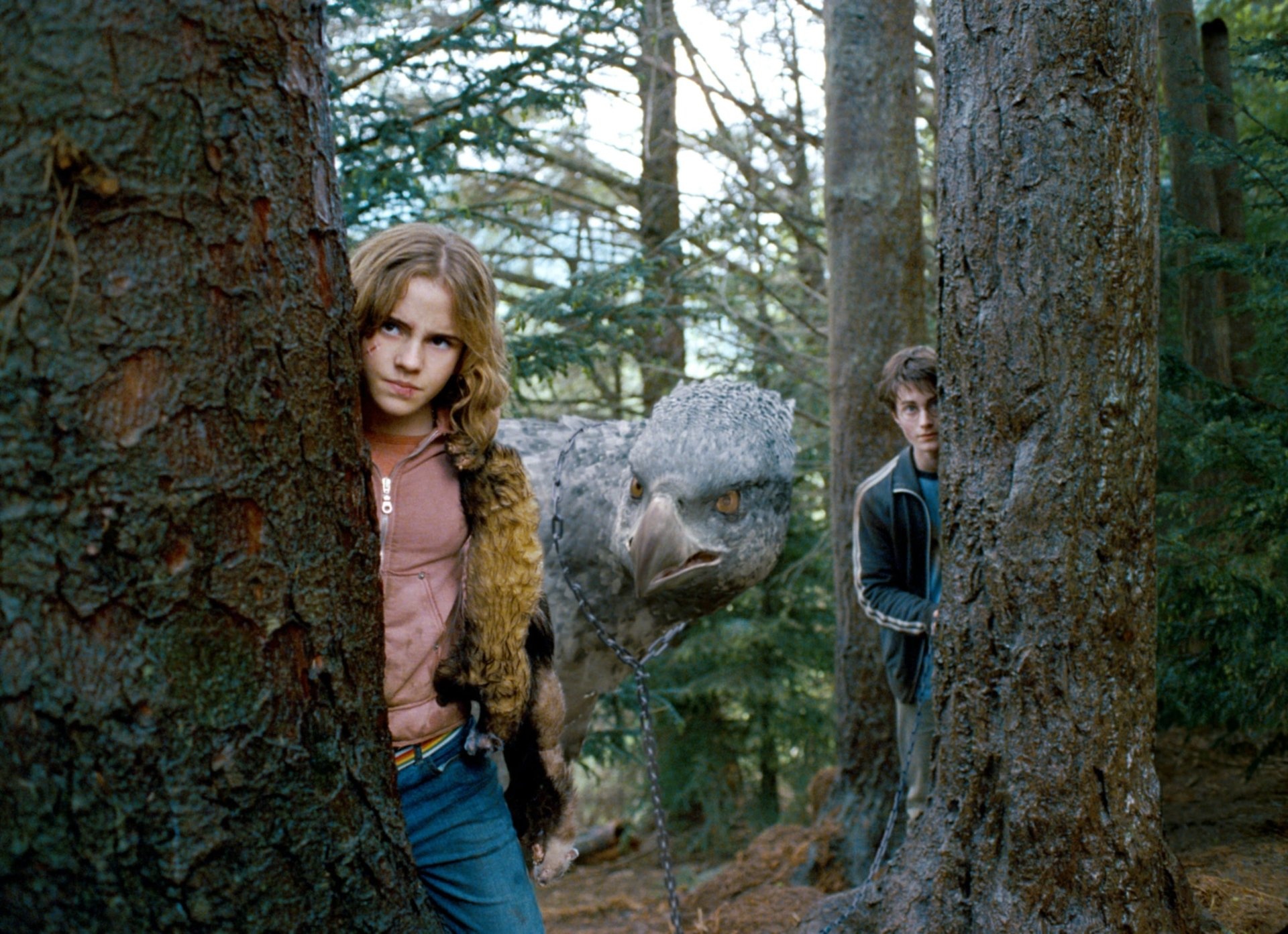 Buckbeak, HD wallpapers, 1920x1400 HD Desktop