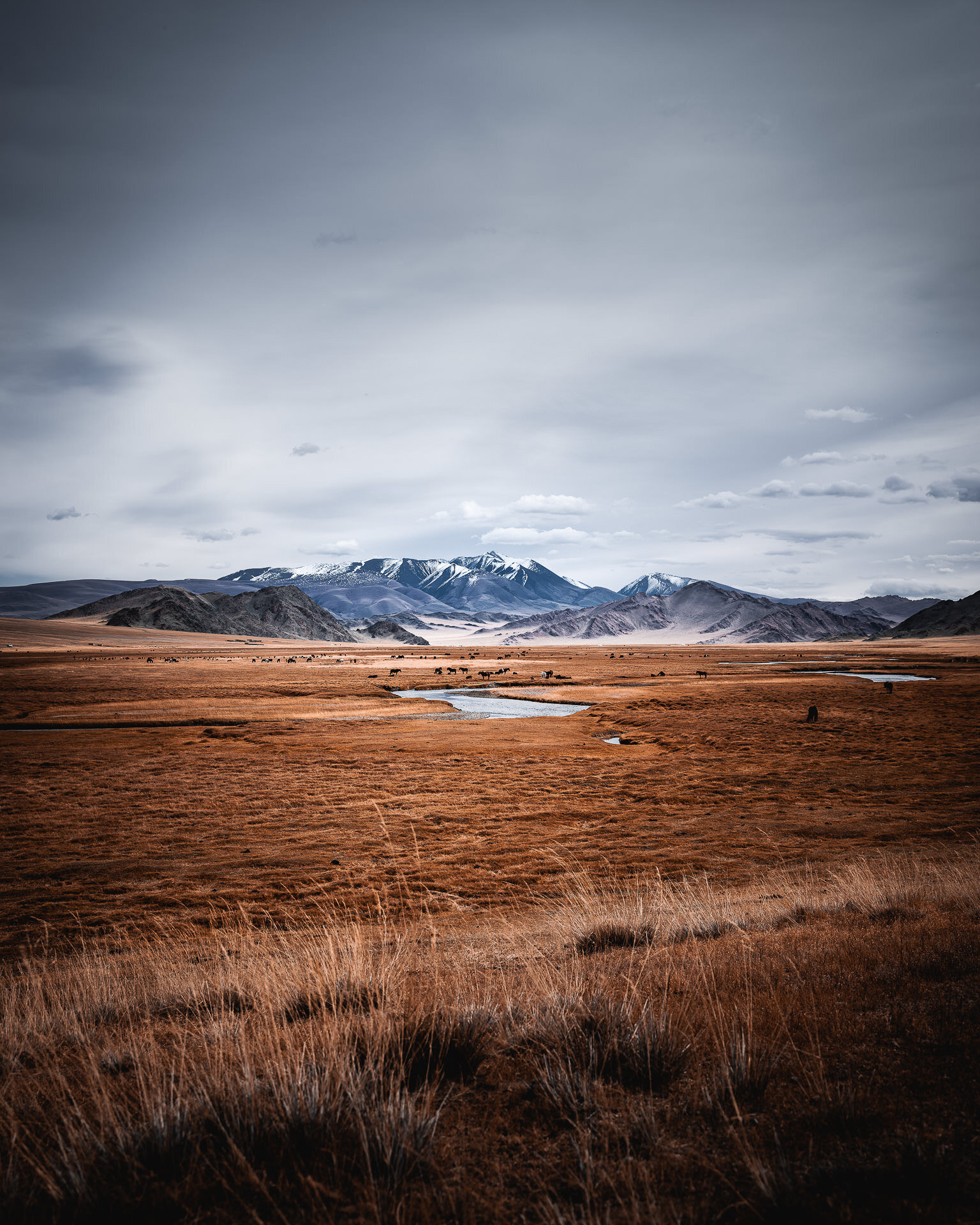 Altai Mountains photography, Corporate blogs u0026 photography, Travels, 1540x1920 HD Phone