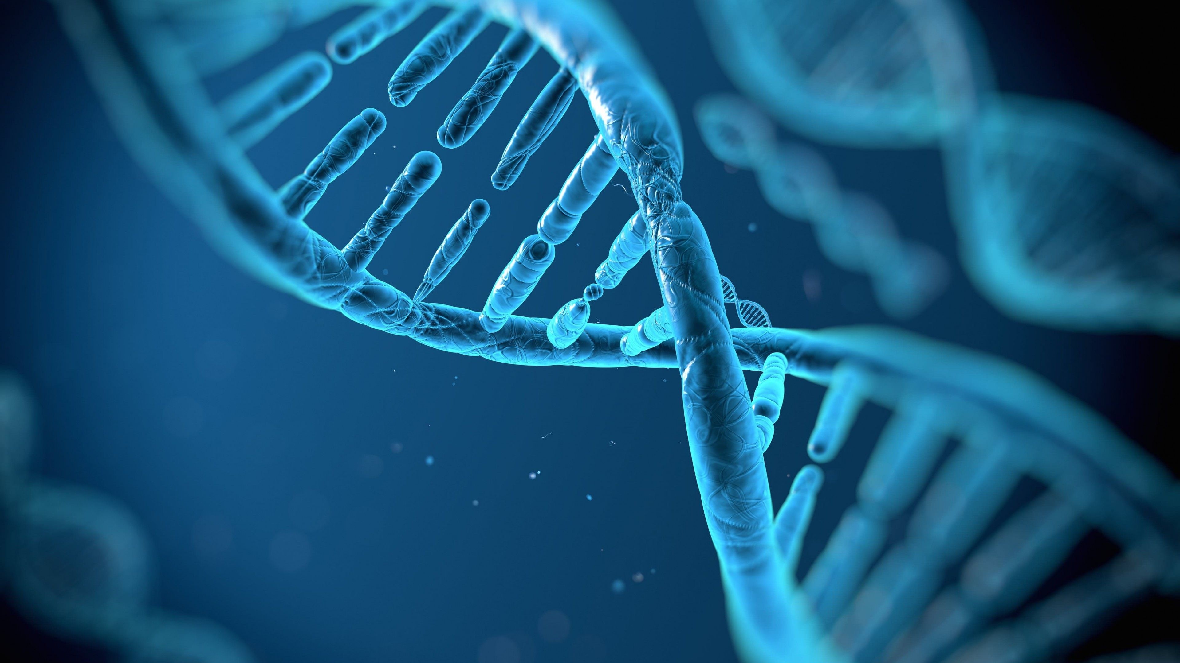 Biology wonders, High-resolution beauty, Captivating wallpapers, Scientific backgrounds, 3840x2160 4K Desktop