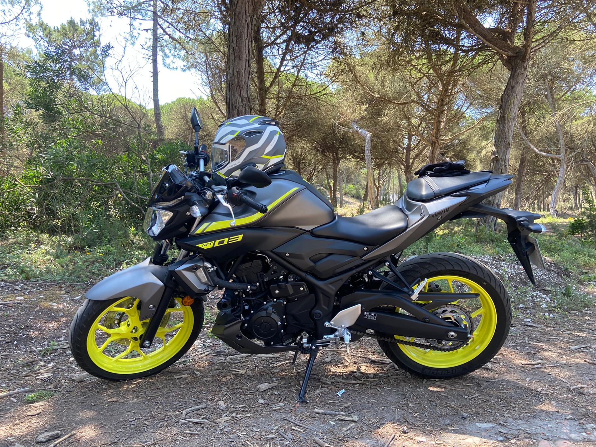 Forest, Yamaha MT-03 Wallpaper, 1920x1440 HD Desktop
