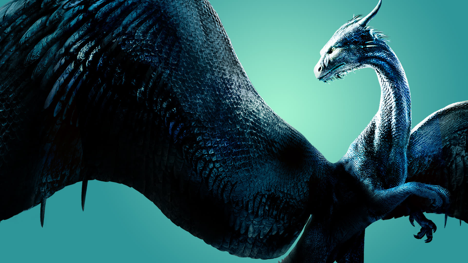 Eragon backdrop images, Film stills, Revisiting the adventure, Nostalgic memories, 1920x1080 Full HD Desktop