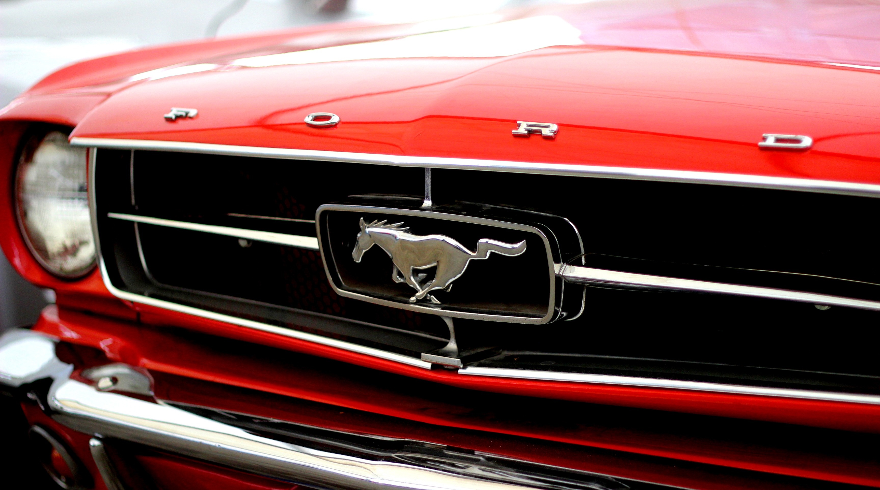 1965 Ford Mustang, chrome Mustang pony emblem, FORD hood lettering, HD Desktop wallpaper