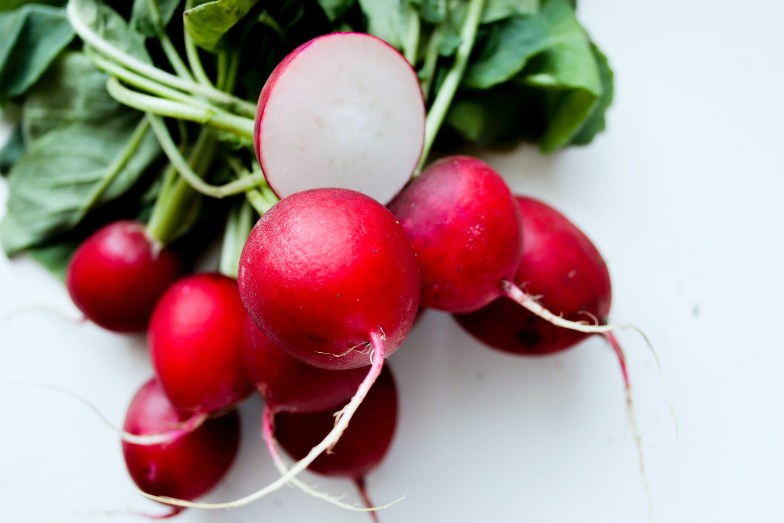 Radish bad dogs, Big sale, Food, 2560x1710 HD Desktop