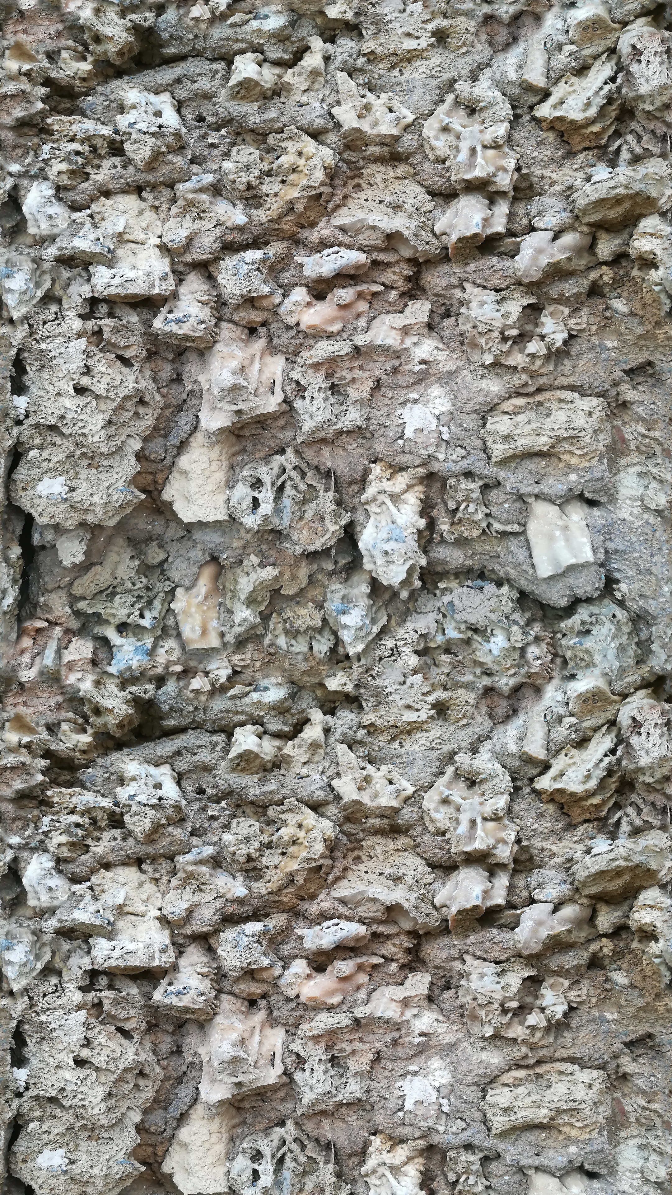 Rock and bones, Unique texture, Contrast of elements, Unconventional design, 2160x3840 4K Phone