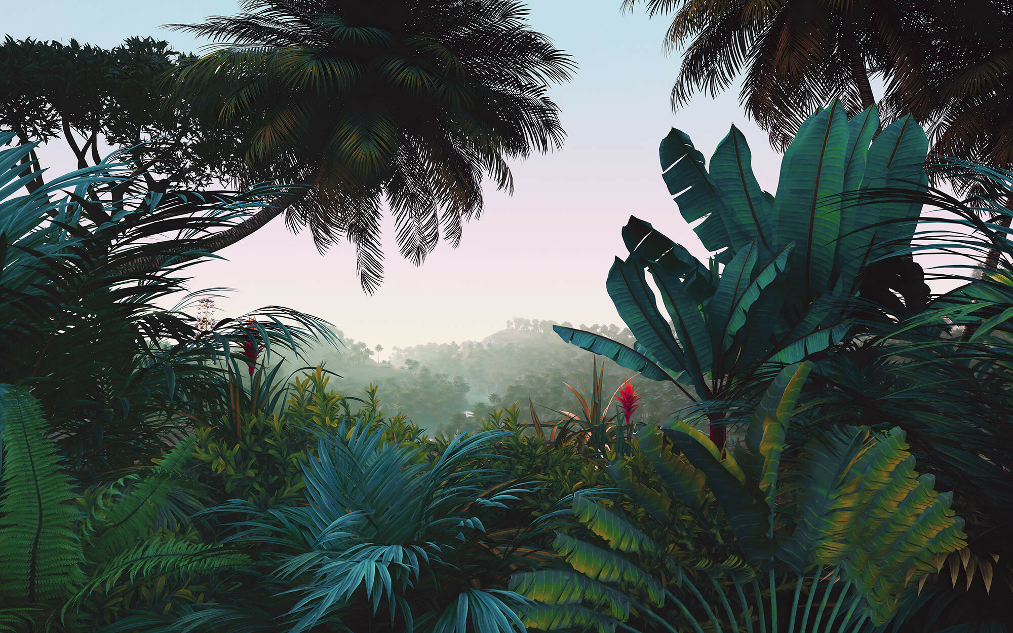Palms, Jungles Wallpaper, 2000x1250 HD Desktop