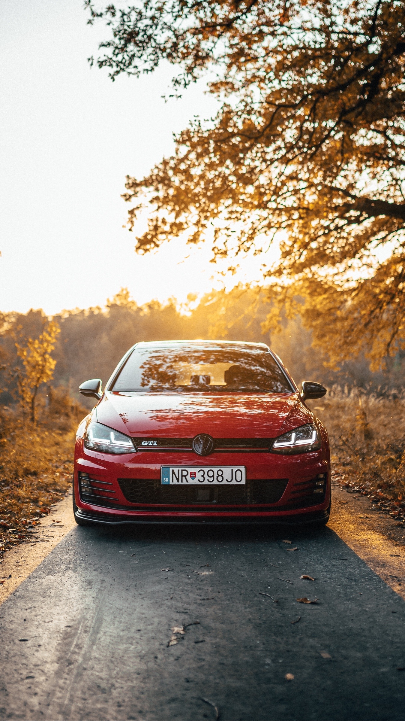 Autumn, Golf GTI Wallpaper, 1350x2400 HD Phone