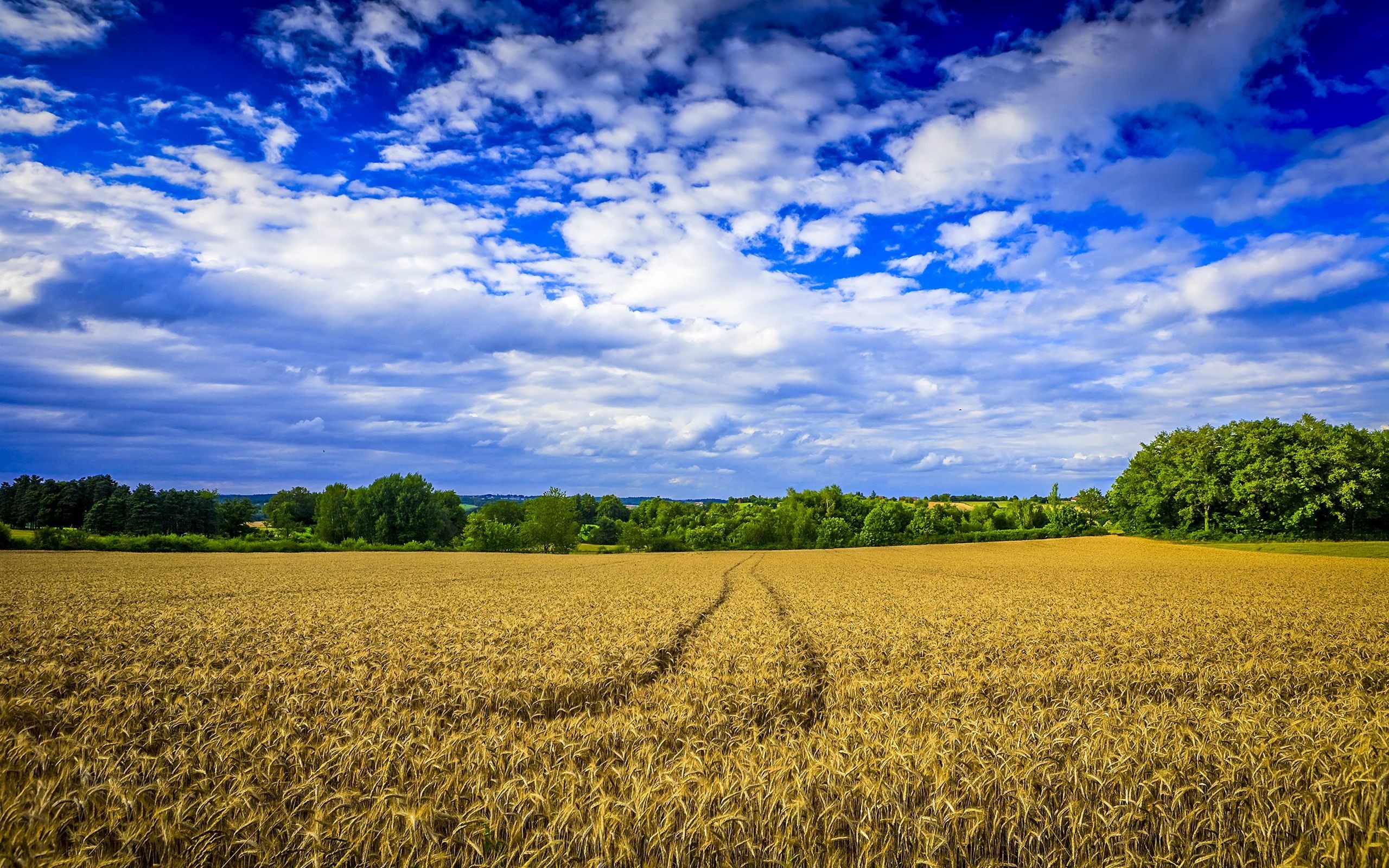 Farm background, Posted by Michelle Thompson, 2560x1600 HD Desktop