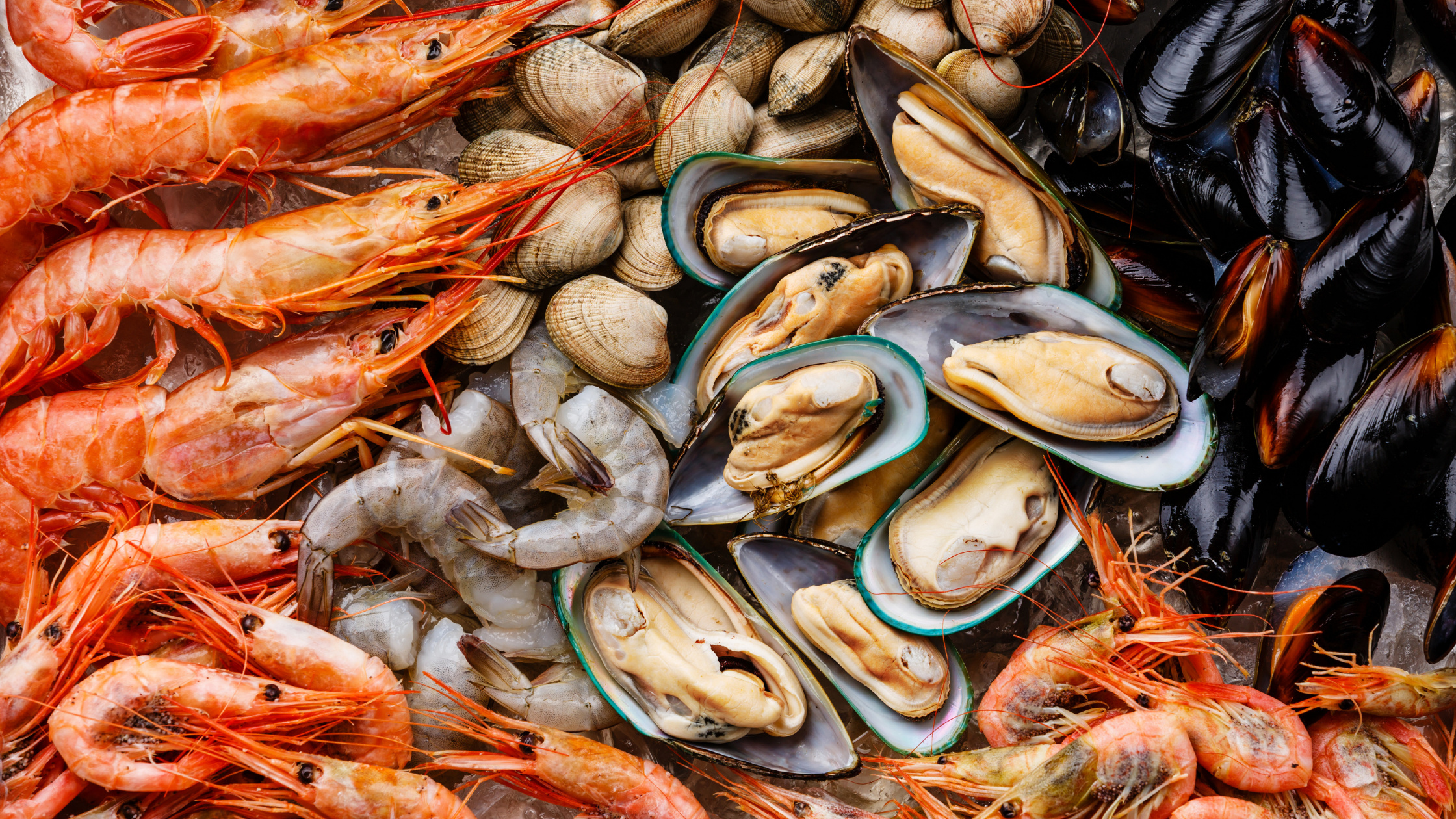 Sustainable seafood, Quebec's ocean-wise, Eco-friendly choices, Seafood sustainability, 2240x1260 HD Desktop