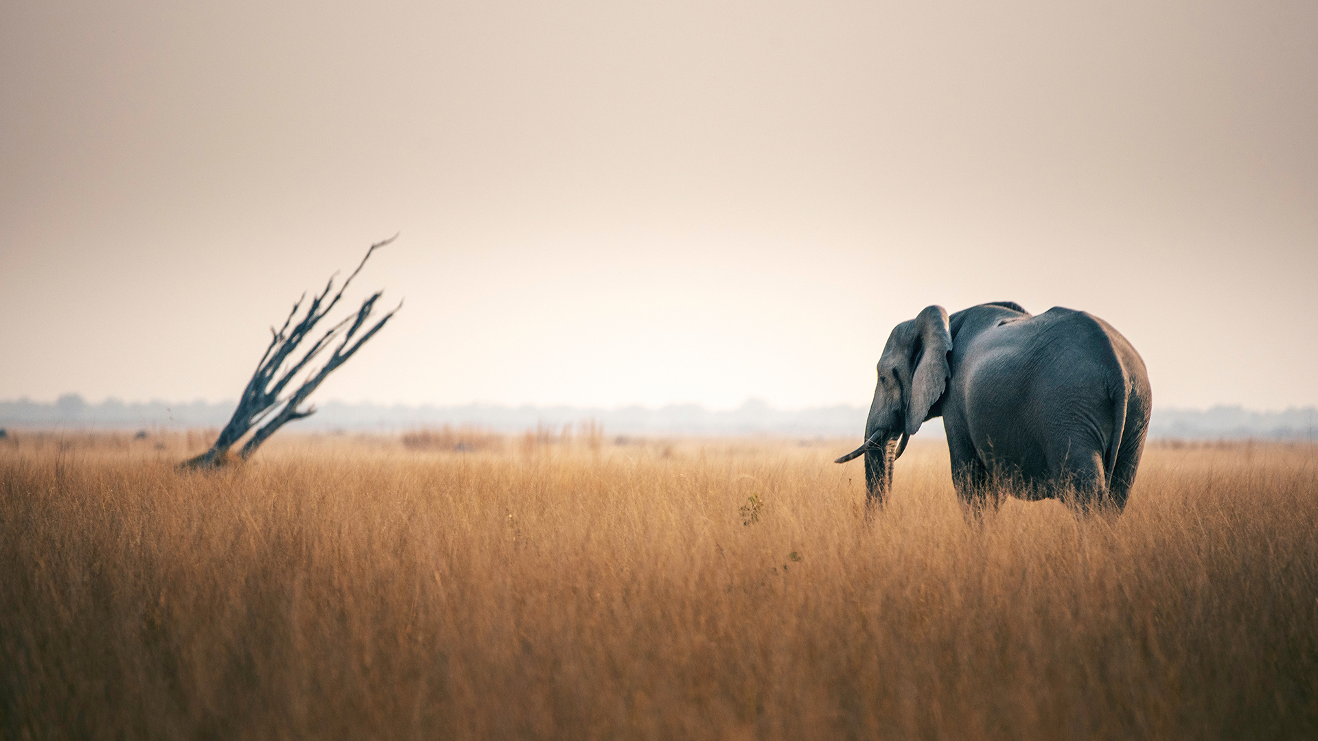 Botswana One Planet Network, Sustainability initiatives, Environmental conservation, Global partnership, 1920x1080 Full HD Desktop