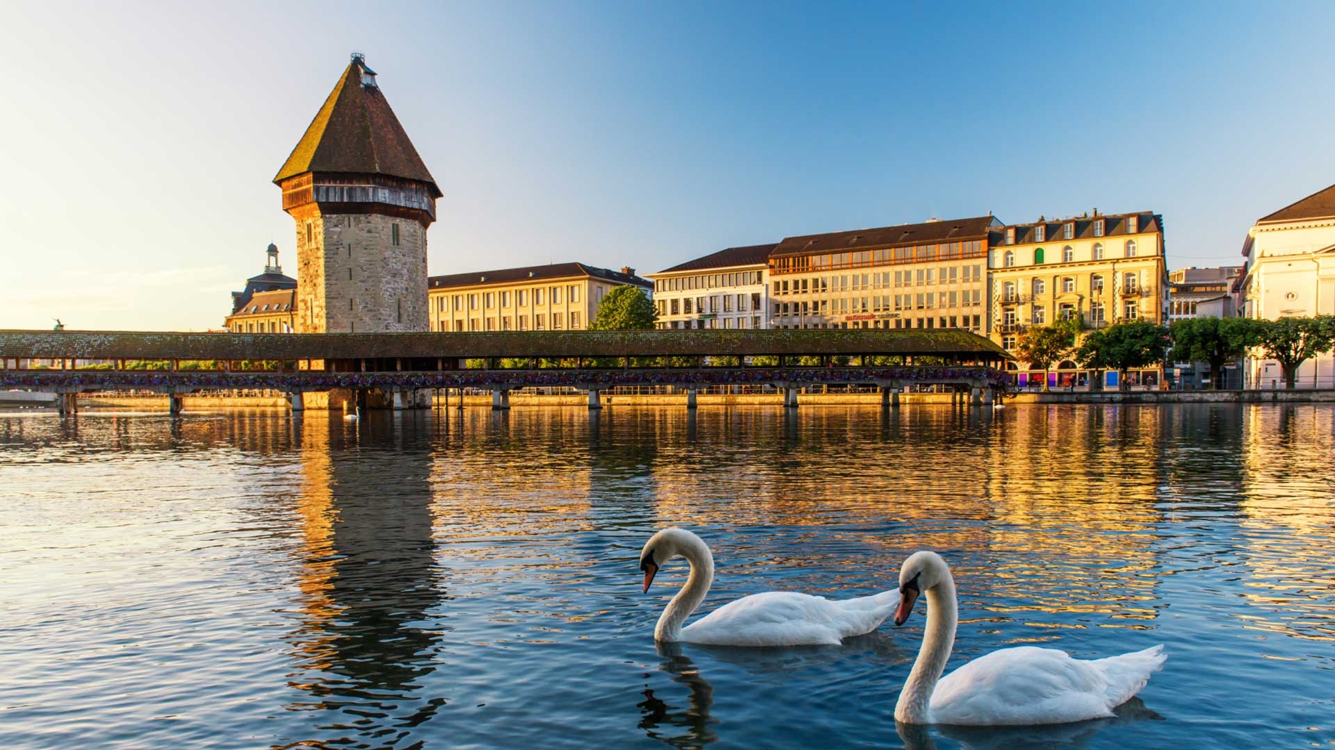 Chapel Bridge, Summer in Lucerne, Rent a car, Swiss adventure, 1920x1080 Full HD Desktop