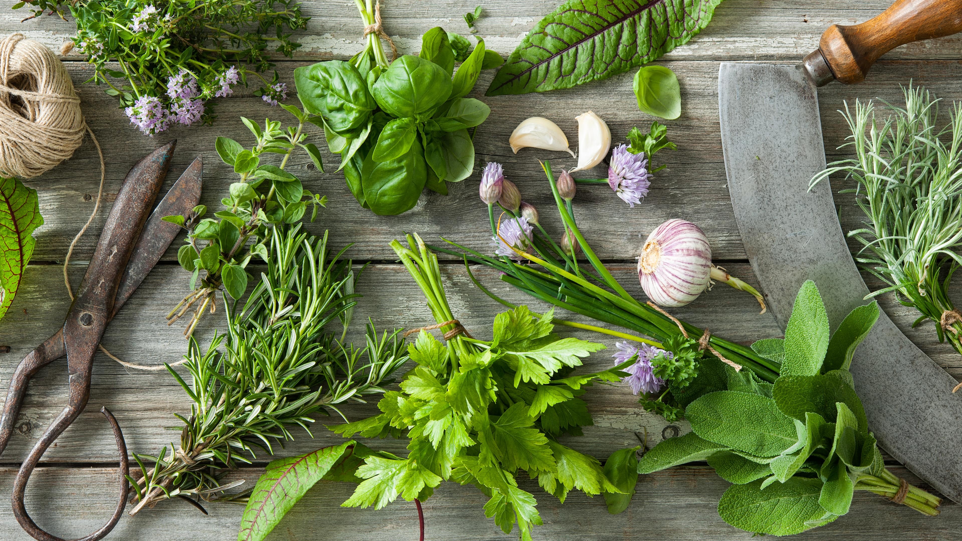 Basil and oregano, Herb varieties, Edeka supermarket, Culinary exploration, 3840x2160 4K Desktop