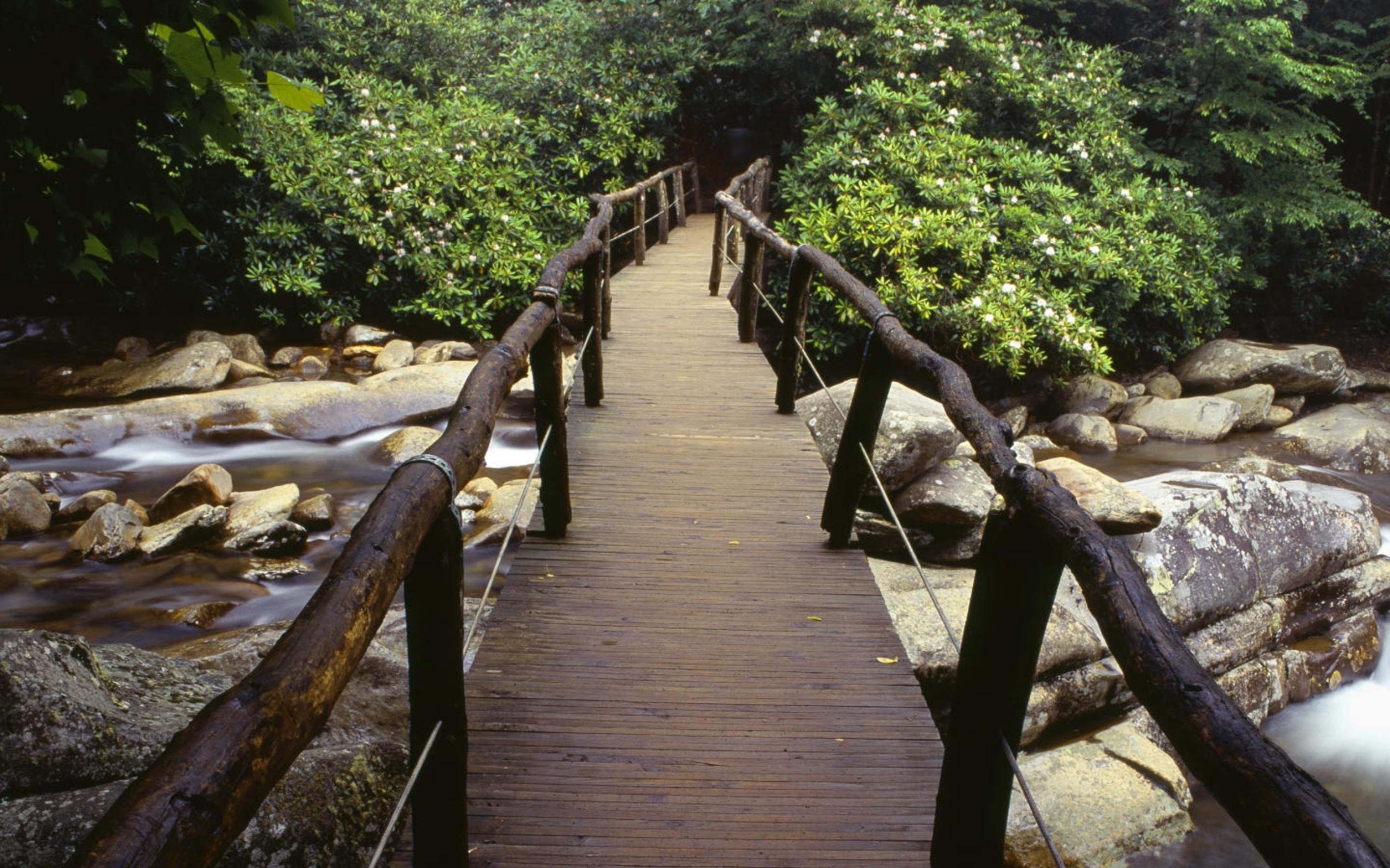 Bridge, Great Smoky Mountains National Park Wallpaper, 2560x1600 HD Desktop