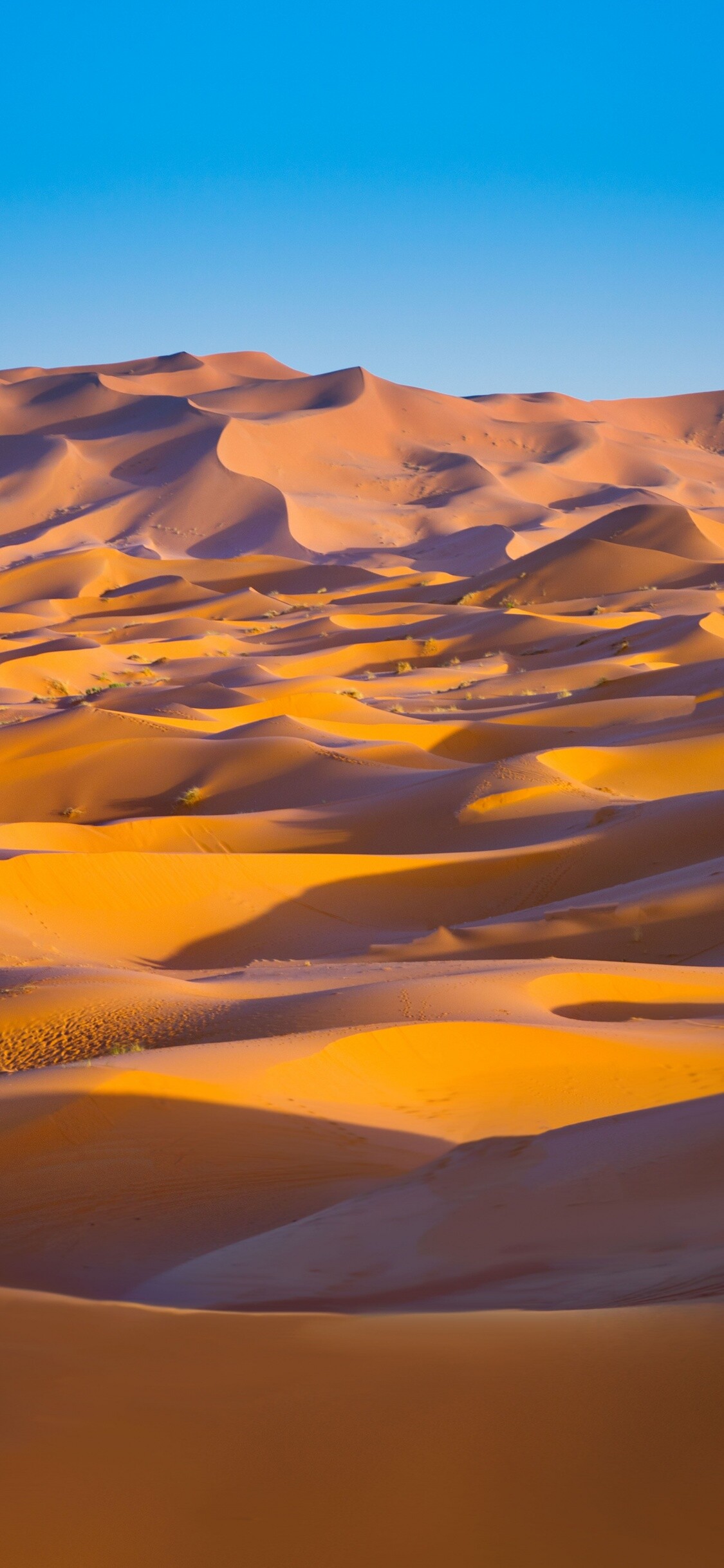 Desert wonderland, Sahara's magic, Serene sand dunes, Nature's masterpiece, 1130x2440 HD Phone