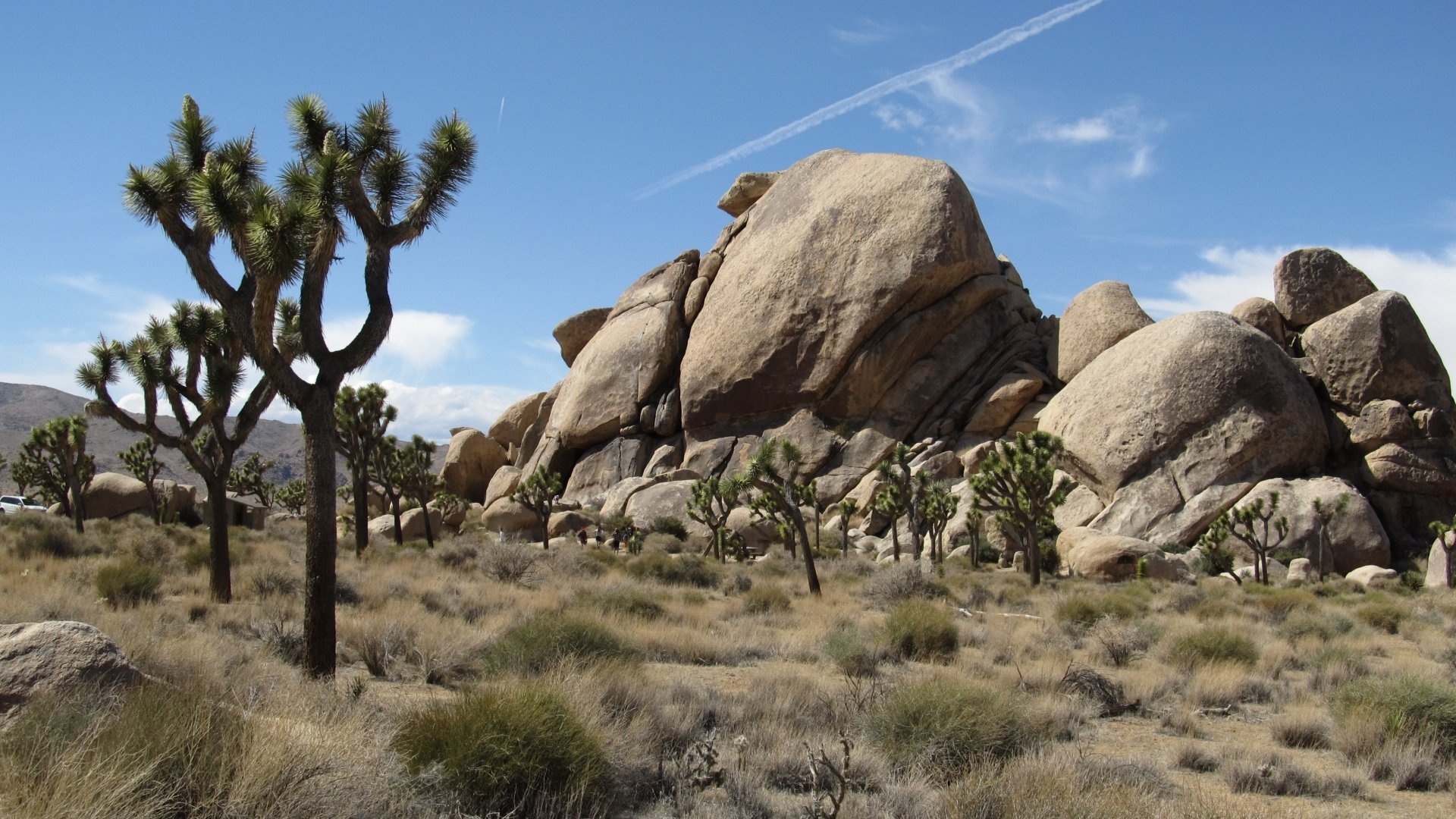 Joshua Tree National Park, Wallpaper for desktop, High definition, Stunning scenery, 1920x1080 Full HD Desktop