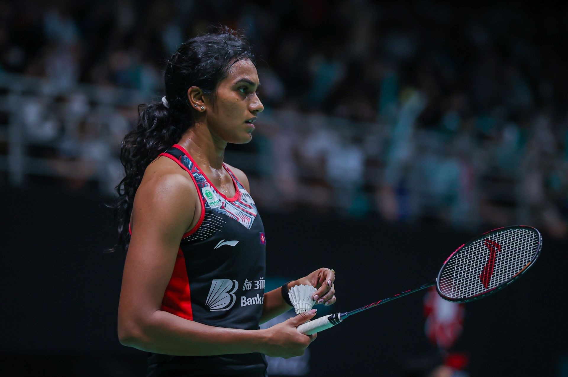 P. V. Sindhu, Badminton star, Head-to-head battles, Live streaming details, 1920x1280 HD Desktop