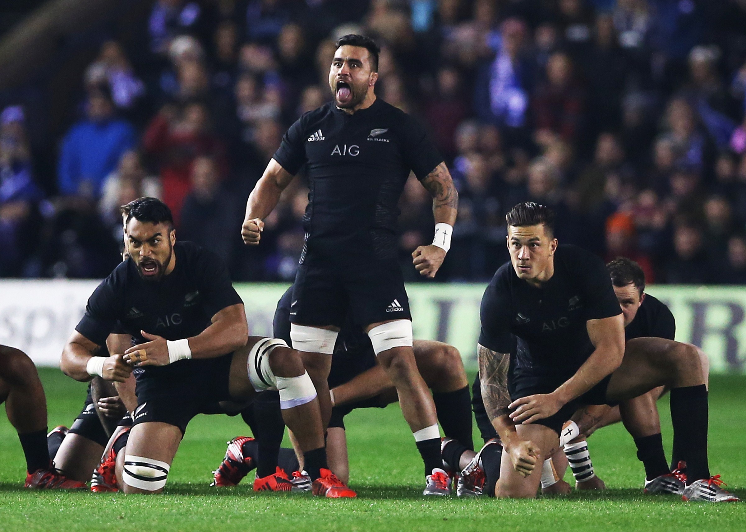 Liam Messam, Haka Wallpaper, 2400x1720 HD Desktop