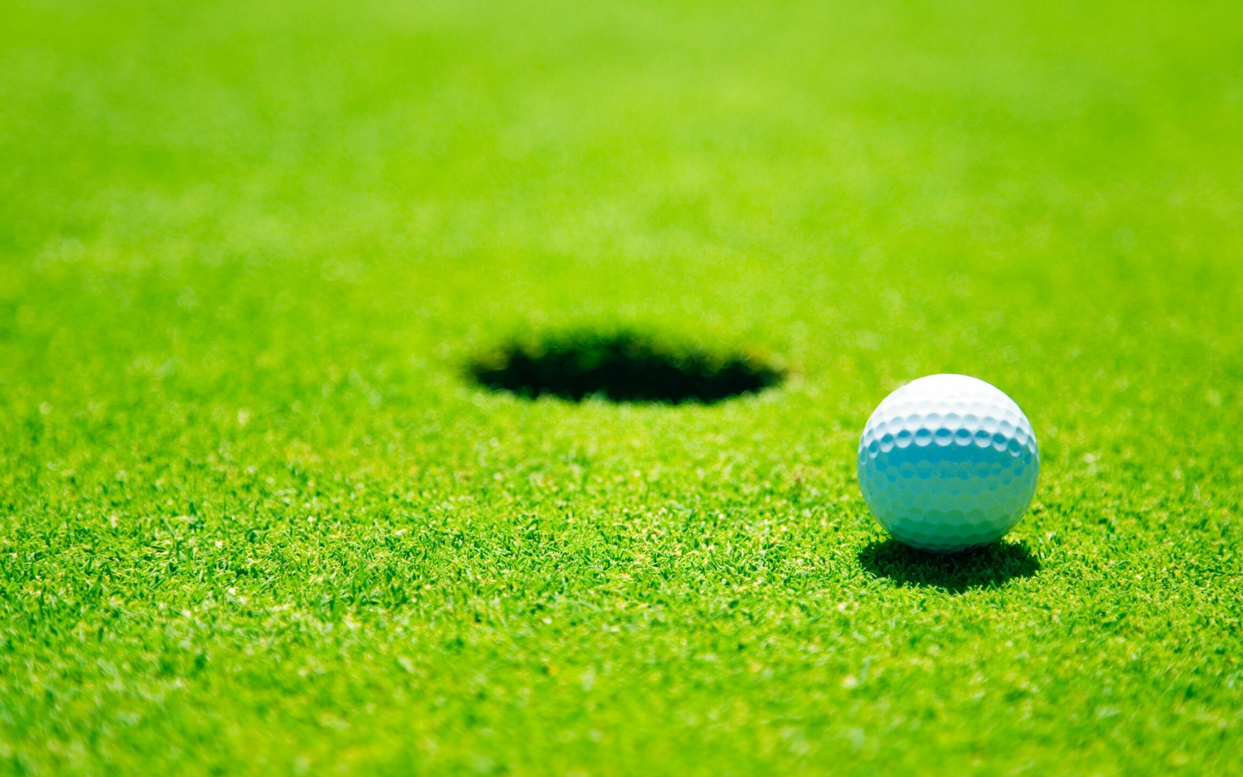 Ball and hole, Golf Wallpaper, 2560x1600 HD Desktop