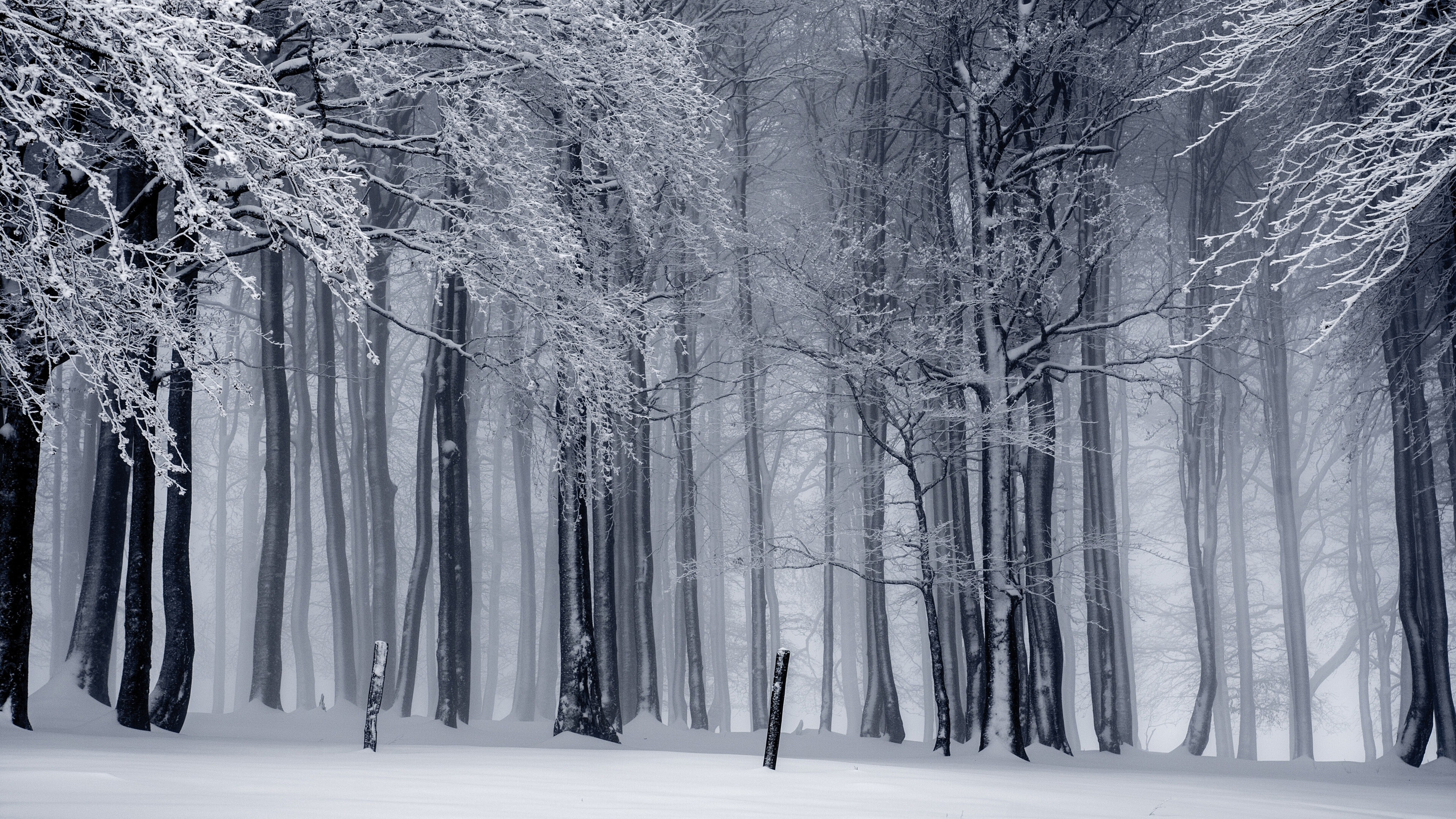 Winter, Desktop wallpapers, iPad and iPhone, Serene season, 3840x2160 4K Desktop