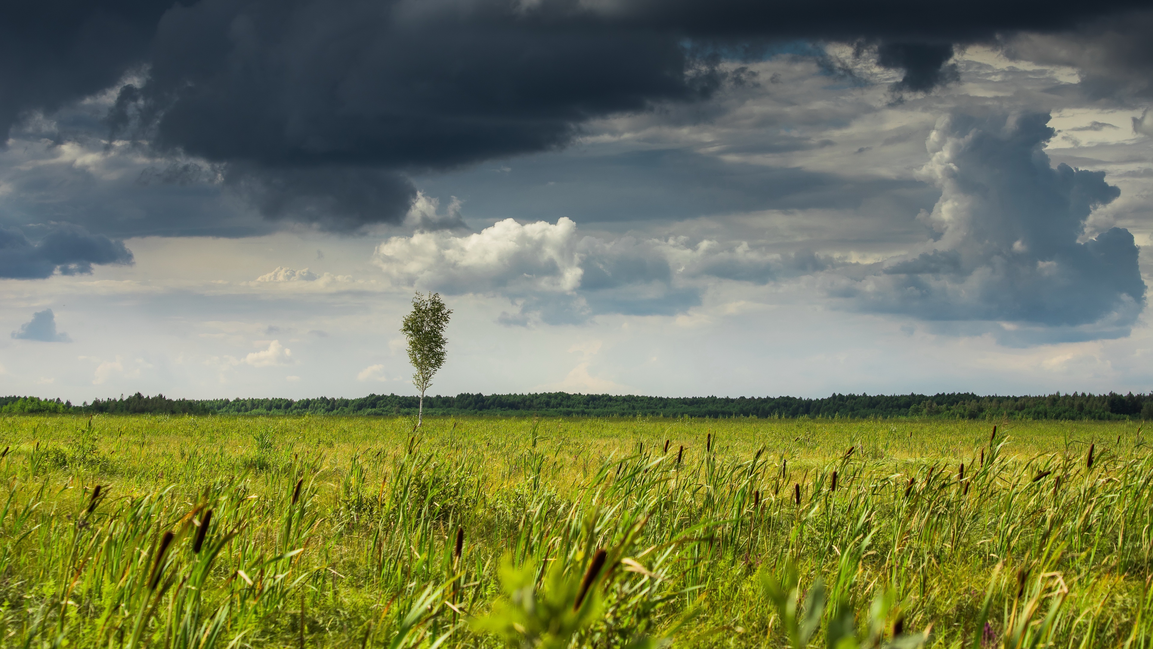 Gray Cloudy Sky, 4K Ultra HD wallpaper, Stunning landscape backdrop, High-resolution image, 3840x2160 4K Desktop